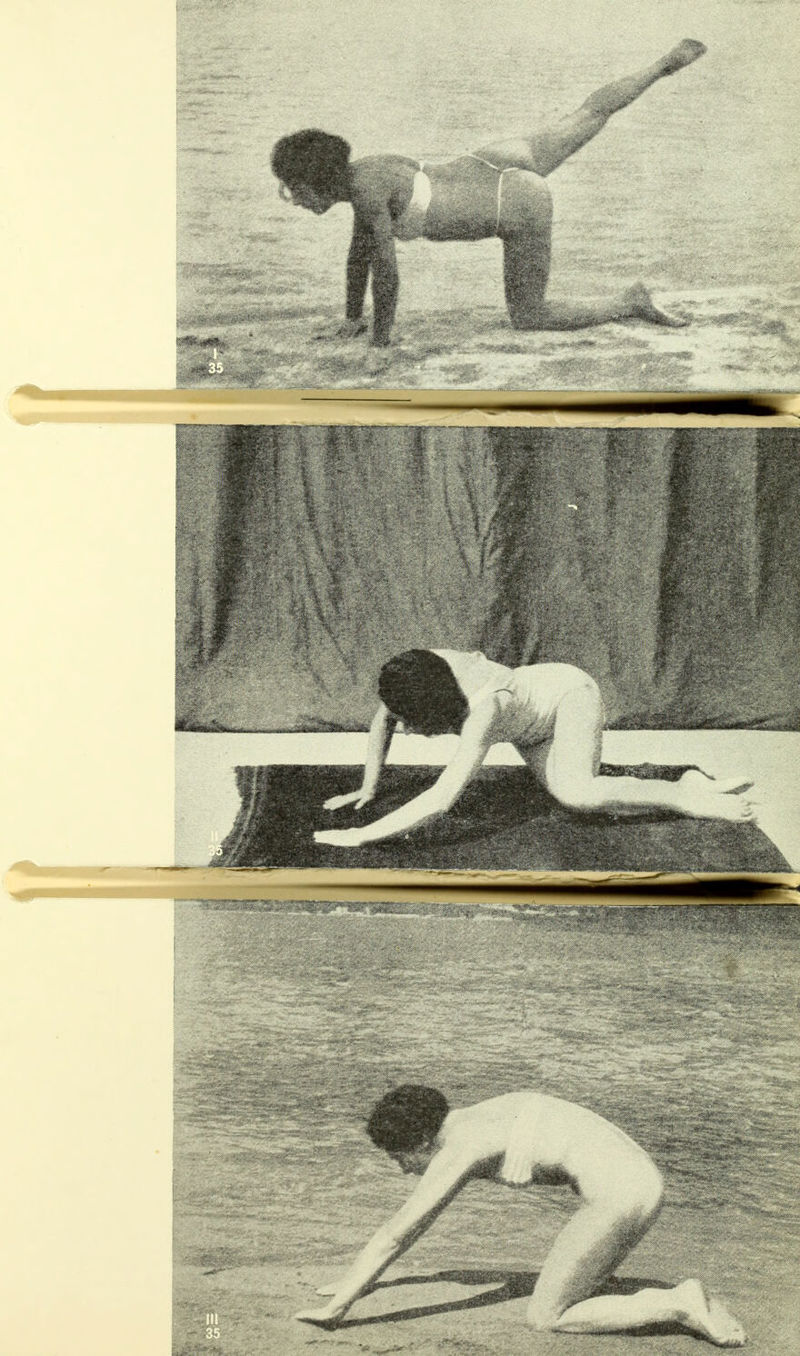 No text description is available for this image