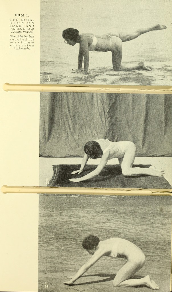 link to previous page