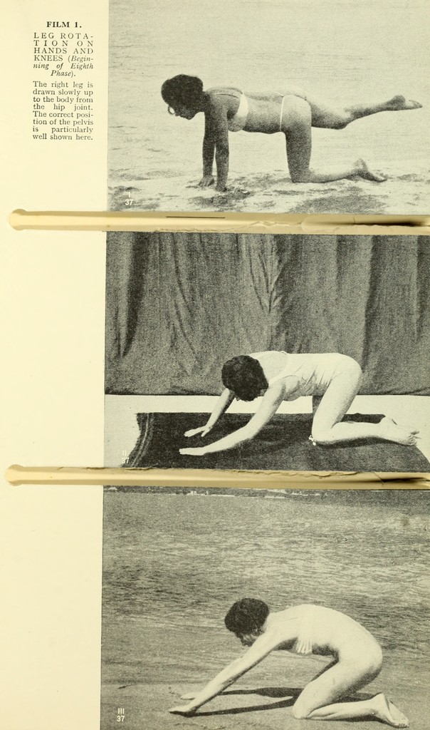 link to previous page