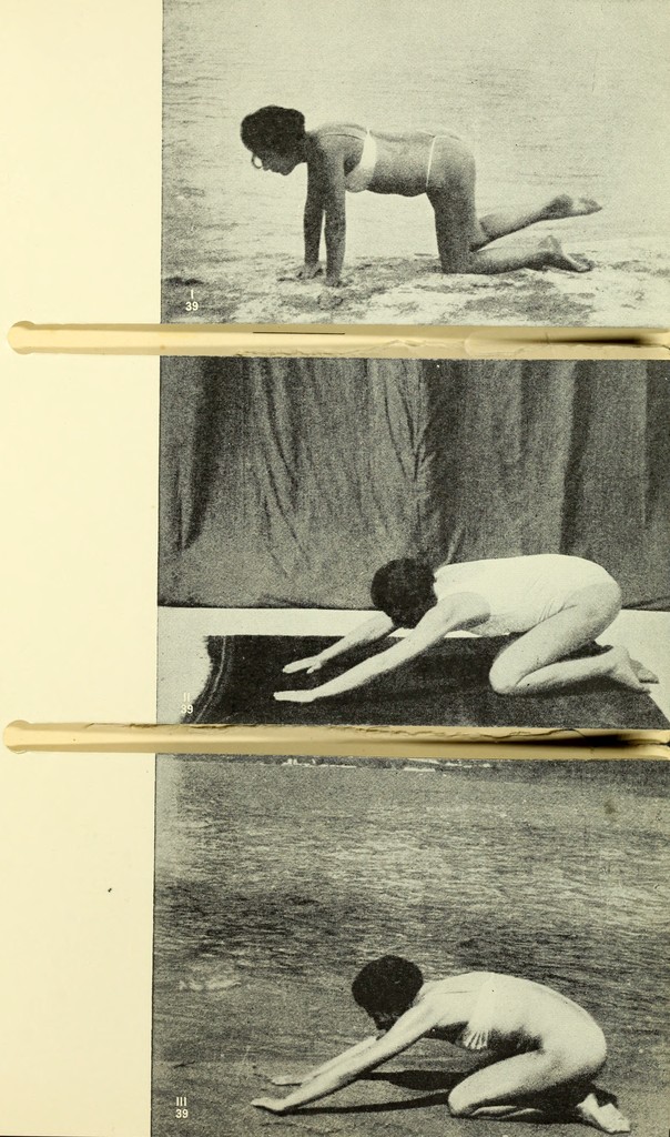 link to previous page
