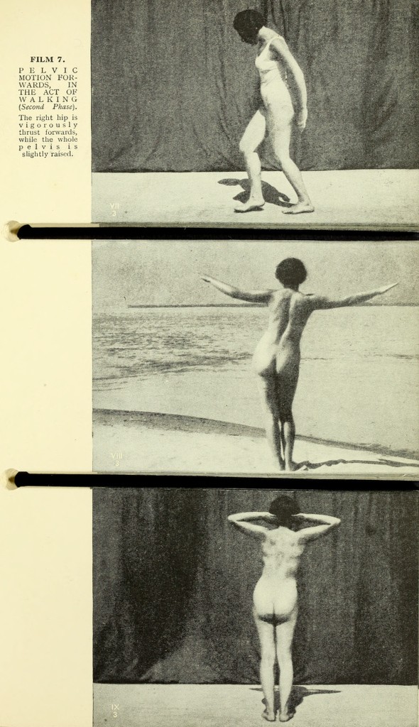 link to previous page