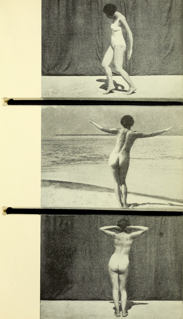 link to previous page