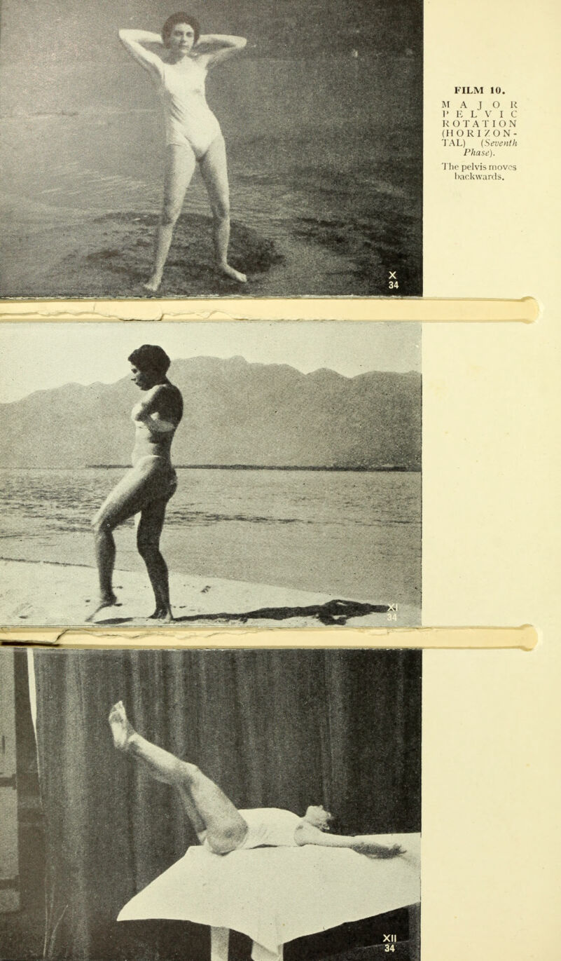 M A J O R I* E L V I C ROTAT ION (HORIZON- TAL) {Seventh Phase). The pelvis moves backwards.