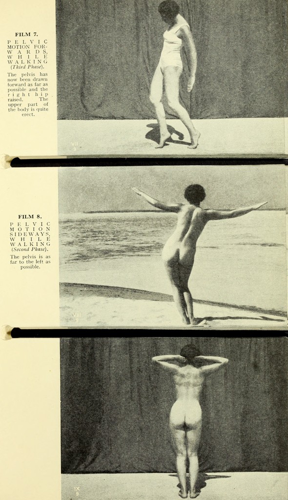 link to previous page