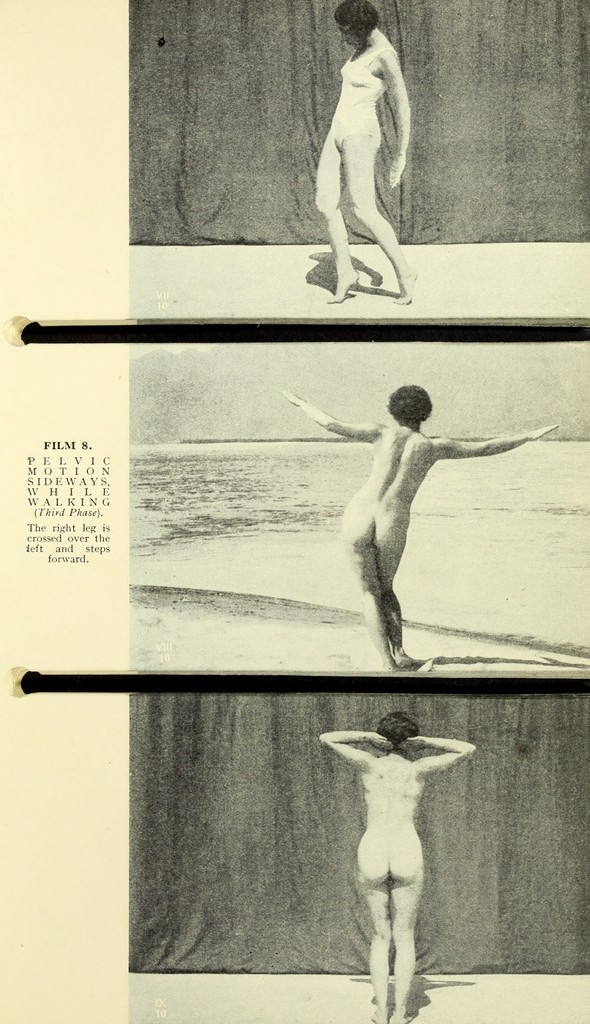 link to previous page