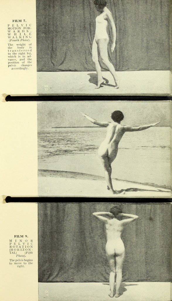 link to previous page