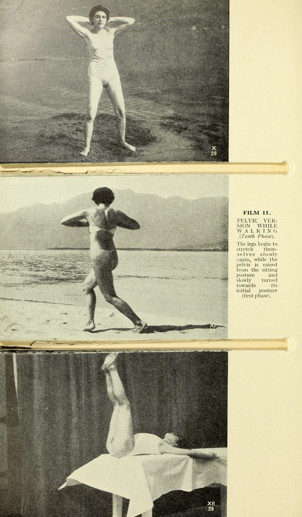 link to previous page