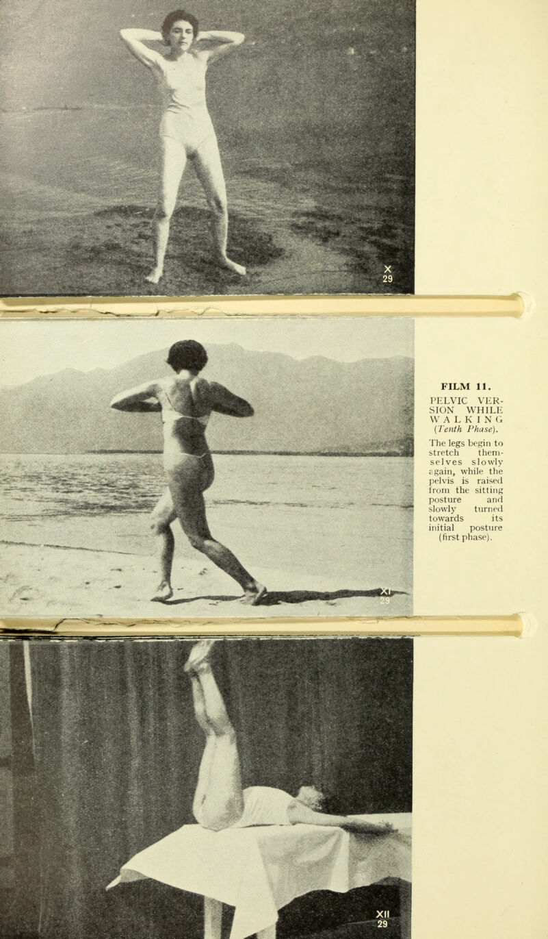 PELVIC VER- SION WHILE WALKING (Tenth Phase). The legs begin to stretch them- selves slowly rgain, while the pelvis is raised from the sitting posture and slowly turned towards its initial posture (first phase).