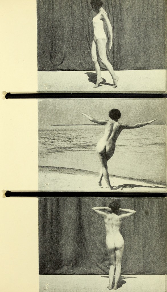 link to previous page