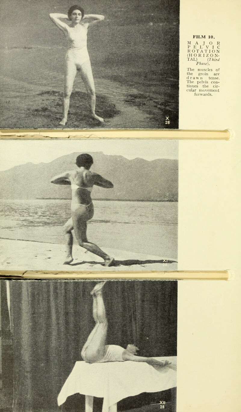 MAJOR PELVIC ROTATION (HORIZON- TAL) (Third Phase). The muscles of the groin arc drawn tense. The pelvis con- tinues the cir- cular movement forwards.