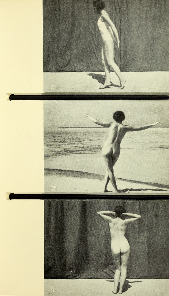 link to previous page