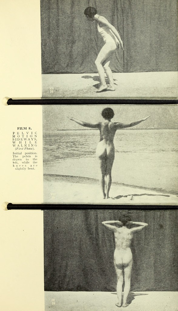 link to previous page