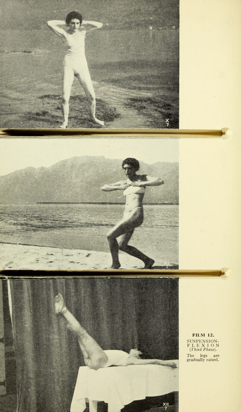 FILM 12. SUSPENSION- FLEXION {Third Phase).