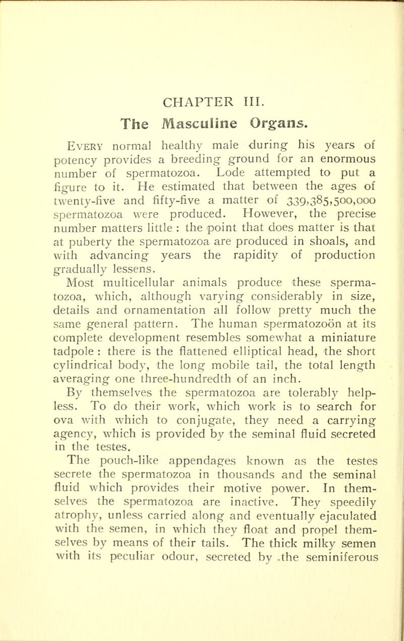 The Masculine Organs. Every normal healthy male during his years of potency provides a breeding ground for an enormous number of spermatozoa. Lode attempted to put a figure to it. He estimated that between the ages of twenty-five and fifty-five a matter of 339,385,500,000 spermatozoa were produced. However, the precise number matters little : the point that does matter is that at puberty the spermatozoa are produced in shoals, and with advancing years the rapidity of production gradually lessens. Most multicellular animals produce these sperma- tozoa, which, although varying considerably in size, details and ornamentation all follow pretty much the same general pattern. The human spermatozoon at its complete development resembles somewhat a miniature tadpole : there is the flattened elliptical head, the short cylindrical body, the long mobile tail, the total length averaging one three-hundredth of an inch. By themselves the spermatozoa are tolerably help- less. To do their work, which work is to search for ova with which to conjugate, they need a carrying agency, which is provided by the seminal fluid secreted in the testes. The pouch-like appendages known as the testes secrete the spermatozoa in thousands and the seminal fluid which provides their motive power. In them- selves the spermatozoa are inactive. They speedily atrophy, unless carried along and eventually ejaculated with the semen, in which they float and propel them- selves by means of their tails. The thick milky semen with its peculiar odour, secreted by .the seminiferous