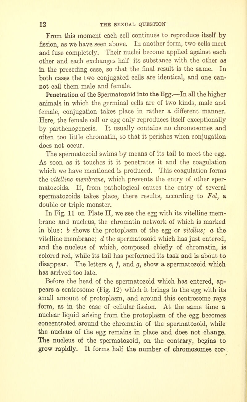 From this moment each cell continues to reproduce itself by fission, as we have seen above. In another form, two cells meet and fuse completely. Their nuclei become applied against each other and each exchanges half its substance with the other as in the preceding case, so that the final result is the same. In both cases the two conjugated cells are identical, and one can- not call them male and female. Penetration of the Spermatozoid into the Egg.—In all the higher animals in which the germinal cells are of two kinds, male and female, conjugation takes place in rather a different manner. Here, the female cell or egg only reproduces itself exceptionally by parthenogenesis. It usually contains no chromosomes and often too little chromatin, so that it perishes when conjugation does not occur. The spermatozoid swims by means of its tail to meet the egg. As soon as it touches it it penetrates it and the coagulation which we have mentioned is produced. This coagulation forms the vitelline membrane, which prevents the entry of other sper- matozoids. If, from pathological causes the entry of several spermatozoids takes place, there results, according to Fol, a double or triple monster. In Fig. 11 on Plate II, we see the egg with its vitelline mem- brane and nucleus, the chromatin network of which is marked in blue: b shows the protoplasm of the egg or vitellus; a the vitelline membrane; d the spermatozoid which has just entered, and the nucleus of which, composed chiefly of chromatin, is colored red, while its tail has performed its task and is about to disappear. The letters e, f, and g, show a spermatozoid which has arrived too late. Before the head of the spermatozoid which has entered, ap- pears a centrosome (Fig. 12) which it brings to the egg with its small amount of protoplasm, and around this centrosome rays form, as in the case of cellular fission. At the same time a nuclear liquid arising from the protoplasm of the egg becomes concentrated around the chromatin of the spermatozoid, while the nucleus of the egg remains in place and does not change. The nucleus of the spermatozoid, on the contrary, begins to grow rapidly. It forms half the number of chromosomes cor*;