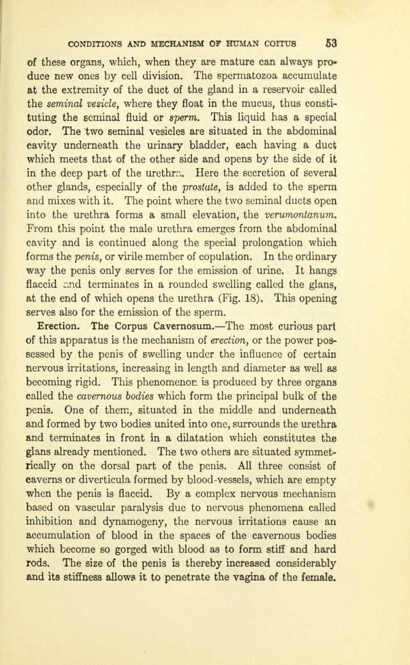 of these organs, which, when they are mature can always pro- duce new ones by cell division. The spermatozoa accumulate at the extremity of the duct of the gland in a reservoir called the seminal vesicle, where they float in the mucus, thus consti- tuting the seminal fluid or sperm. This liquid has a special odor. The two seminal vesicles are situated in the abdominal cavity underneath the urinary bladder, each having a duct which meets that of the other side and opens by the side of it in the deep part of the urethra. Here the secretion of several other glands, especially of the prostate, is added to the sperm and mixes with it. The point where the two seminal ducts open into the urethra forms a small elevation, the verumontanum. From this point the male urethra emerges from the abdominal cavity and is continued along the special prolongation which forms the penis, or virile member of copulation. In the ordinary way the penis only serves for the emission of urine. It hangs flaccid end terminates in a rounded swelling called the glans, at the end of which opens the urethra (Fig. 18). This opening serves also for the emission of the sperm. Erection. The Corpus Cavernosum.—The most curious part of this apparatus is the mechanism of erection, or the power pos- sessed by the penis of swelling under the influence of certain nervous irritations, increasing in length and diameter as well as becoming rigid. This phenomenon is produced by three organs called the cavernous bodies which form the principal bulk of the penis. One of them, situated in the middle and underneath and formed by two bodies united into one, surrounds the urethra and terminates in front in a dilatation which constitutes the glans already mentioned. The two others are situated symmet- rically on the dorsal part of the penis. All three consist of caverns or diverticula formed by blood-vessels, which are empty when the penis is flaccid. By a complex nervous mechanism based on vascular paralysis due to nervous phenomena called inhibition and dynamogeny, the nervous irritations cause an accumulation of blood in the spaces of the cavernous bodies which become so gorged with blood as to form stiff and hard rods. The size of the penis is thereby increased considerably and its stiffness allows it to penetrate the vagina of the female.