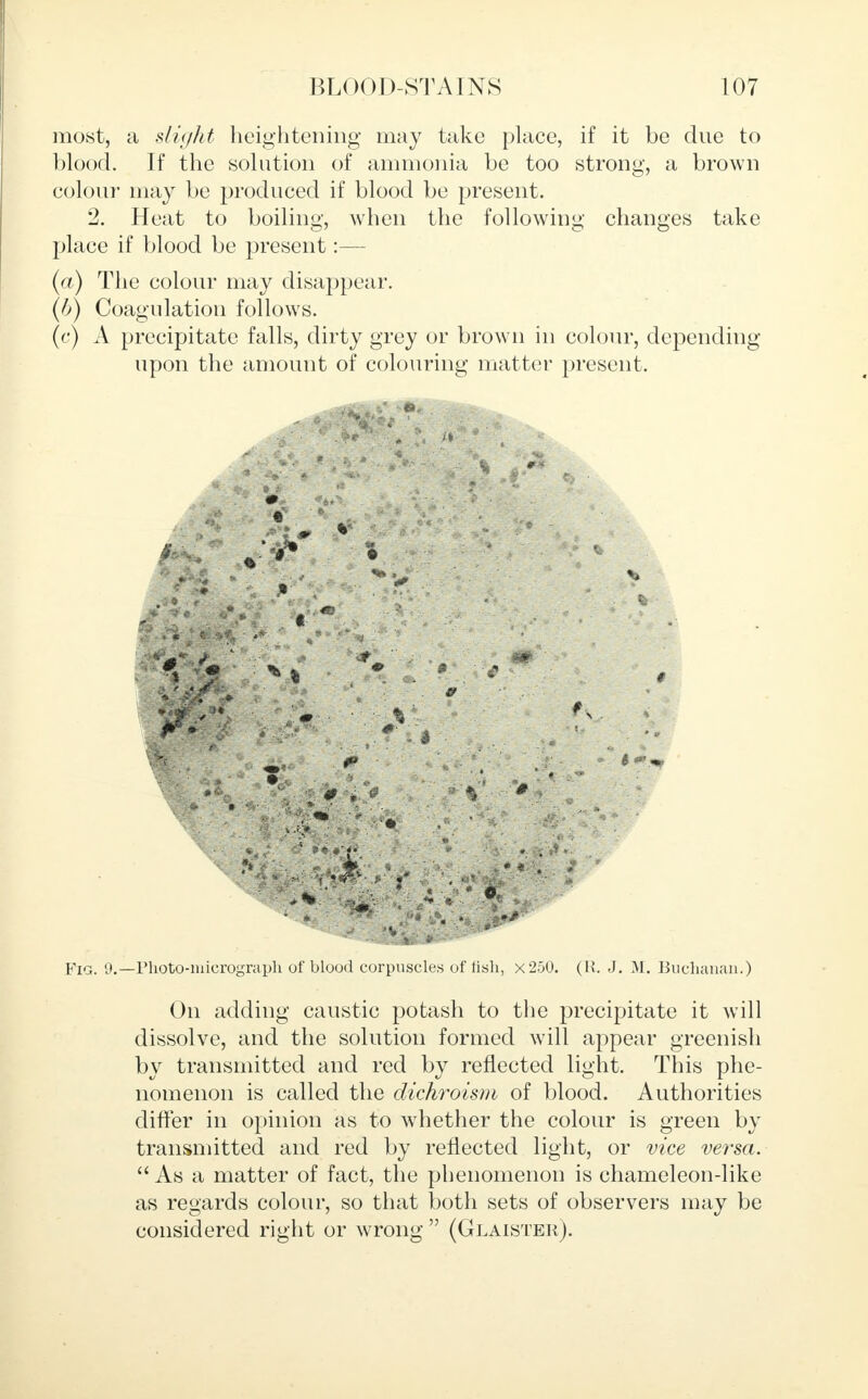 most, a slight heightening may take place, if it be due to blood. If the solution of ammonia be too strong, a brown colour may be produced if blood be present. 2. Heat to boiling, when the following changes take place if blood be present:— (a) The colour may disappear. (b) Coagulation follows. (c) A precipitate falls, dirty grey or brown in colour, depending upon the amount of colouring matter present. Fig. 9.—Photo-micrograph of blood corpuscles of fish, x250. (R. J. M. Buchanan.) On adding caustic potash to the precipitate it will dissolve, and the solution formed will appear greenish by transmitted and red by reflected light. This phe- nomenon is called the didiroism of blood. Authorities differ in opinion as to whether the colour is green by transmitted and red by reflected light, or vice verm.  As a matter of fact, the phenomenon is chameleon-like as regards colour, so that both sets of observers may be considered right or wrong  (Glaister).