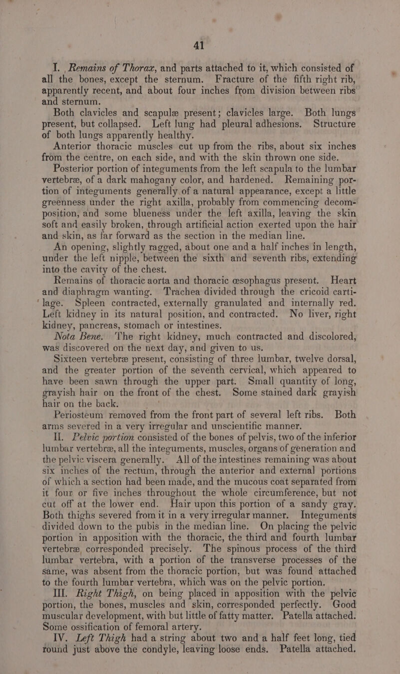 I. Remains of Thorax, and parts attached to it, which consisted of all the bones, except the sternum. Fracture of the fifth right rib, apparently recent, and about four inches from division between ribs and sternum. Both clavicles and scapule present; clavicles large. Both lungs present, but collapsed. Left lung had pleural adhesions. Structure of both lungs apparently healthy. Anterior thoracic muscles cut up from the ribs, about six inches from the centre, on each side, and with the skin thrown one side. Posterior portion of integuments from the left scapula to the lumbar vertebre, of a dark mahogany color, and hardened. Remaining por- tion of integuments generally of a natural appearance, except a little greenness under the right axilla, probably from commencing decom- position, and some blueness under the left axilla, leaving the skin soft and easily broken, through artificial action exerted upon the hair and skin, as far forward as the section in the median line. An opening, slightly ragged, about one and a half inches in length, under the left nipple, between the sixth and seventh ribs, extending into the cavity of the chest. Remains of thoracic aorta and thoracic esophagus present. Heart and diaphragm wanting. Trachea divided through the cricoid carti- lage. Spleen contracted, externally granulated and internally red. Left kidney in its natural position, and contracted. No liver, right kidney, pancreas, stomach or intestines. . Nota Bene. ‘The right kidney, much contracted and discolored, was discovered on the next day, and given to us. Sixteen vertebrae present, consisting of three lumbar, twelve dorsal, and the greater portion of the seventh cervical, which appeared to have been sawn through the upper part. Small quantity of long, grayish hair on the front of the chest. Some stained dark grayish hair on the back. Periosteum removed from the front part of several left ribs. Both arms severed in a very irregular and unscientific manner. If. Pelvic portion consisted of the bones of pelvis, two of the inferior lumbar vertebre, all the integuments, muscles, organs of generation and the pelvic viscera generally. All of the intestines remaining was about six inches of the rectum, through the anterior and external portions of which a section had been made, and the mucous coat separated from it four or five inches throughout the whole circumference, but not cut off at the lower end. Hair upon this portion of a sandy gray. Both thighs severed from it in a very irregular manner. Integuments divided down to the pubis in the median line. On placing the pelvic portion in apposition with the thoracic, the third and fourth lumbar vertebre, corresponded precisely. ‘The spinous process of the third lumbar vertebra, with a portion of the transverse processes of the same, was absent from the thoracic portion, but was found attached to the fourth lumbar vertebra, which was on the pelvic portion. Il. Right Thigh, on being placed in apposition with the pelvic portion, the bones, muscles and skin, corresponded perfectly. Good muscular development, with but little of fatty matter. Patella attached. Some ossification of femoral artery. ; IV. Left Thigh had a string about two and a half feet long, tied round just above the condyle, leaving loose ends. Patella attached.