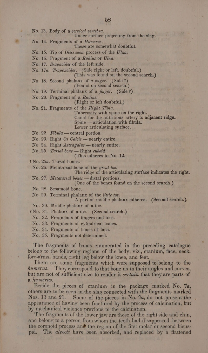 No. 13. Body of a cervical vertebra. Under surface projecting from the slag. No. 14. Fragments of a Humerus. These are somewhat doubtful. No. 15. Tip of Olecranon process of the Ulna. No. 16. Fragment of a Radius or Ulna. No. 17. Scaphoides of the left side. No. 17a. Trapezoides. (Side right or left, doubtful.) (This was found on the second search.) No. 18. Second phalanx of a finger. (Side ?) (Found on second search.) No. 19. Terminal phalanx of a finger. (Side ?) No. 20. Fragment of a Radius. (Right or left doubtful.) No. 21. Fragments of the Right Tibia. Tuberosity with spine on the right. Canal for the nutritions artery to adjacent ridge. Spine — articulation with fibula. Lower articulating surface. No. 22. Fibula — central portion. No. 23. Right Os Calcis — nearly entire. No. 24. Right Astragalus — nearly entire. No. 25. Tarsal bone — Right cuboid. (This adheres to No. 12. ? No. 25a. Tarsal bones. No. 26. Metatarsal bone of the great toe. The ridge of the articulating surface indicates the right. No. 27. Metatarsal bones — distal portions. (One of the bones found on the second search.) No. 28. Sesamoid bone. No. 29. Terminal phalanx of the little toe. A part of middle phalanx adheres. (Second search.). No. 30. Middle phalanx of a toe. ?No. 31. Phalanx of a toe. (Second search.) No. 32. Fragments of fingers and toes. No. 33. Fragments of cylindrical bones. No. 34. Fragments of bones of face. No. 35. Fragments not determined. The fragments of bones enumerated in the preceding catalogue belong to the following regions of the body, viz., cranium, face, neck. fore-arms, hands, right leg below the knee, and feet. There are some fragments which were supposed to belong to the humerus. 'They correspond to that bone as to their angles and curves, but are not of sufficient size to render it certain that they are parts of a Aumerus. Beside the pieces of cranium in the package marked No. ‘a, others are to be seen in the slag connected with the fragments marked Nos. 13 and 21. Some of the pieces in No. 7a, do not present the appearance of having been fractured by the process of calcination, but by mechanical violence previous to the calcination. The fragments of the lower jaw are those of the right side and chin, and belong to a person from whom the teeth had disappeared between the coronoid process an@ the region of the first molar or second bicus- pid. The alveola have been absorbed, and replaced by a flattened
