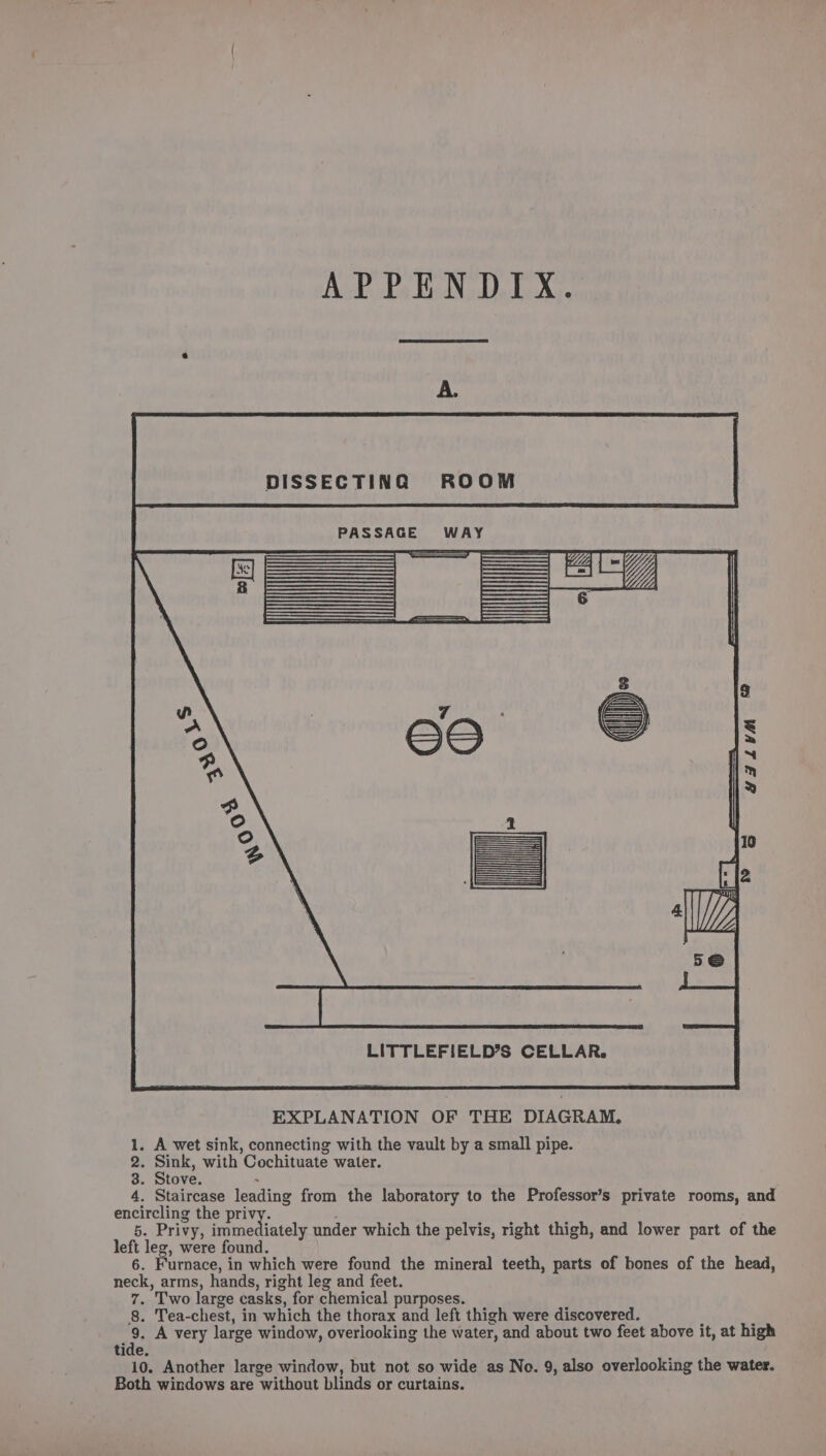 APPENDIX. LITTLEFIELD’S CELLAR. EXPLANATION OF THE DIAGRAM. 1. A wet sink, connecting with the vault by a small pipe. 2. Sink, with Cochituate water. 3. Stove. &gt; 4. Staircase leading from the laboratory to the Professor’s private rooms, and encircling the BHYy. 5. Privy, immediately under which the pelvis, right thigh, and lower part of the left leg, were found. 6. Furnace, in which were found the mineral teeth, parts of bones of the head, neck, arms, hands, right leg and feet. 7. Two large casks, for chemical purposes. 8. Tea-chest, in which the thorax and left thigh were discovered. te A very large window, overlooking the water, and about two feet above it, at high tide. 10. Another large window, but not so wide as Ne. 9, also overlooking the water. Both windows are without blinds or curtains.