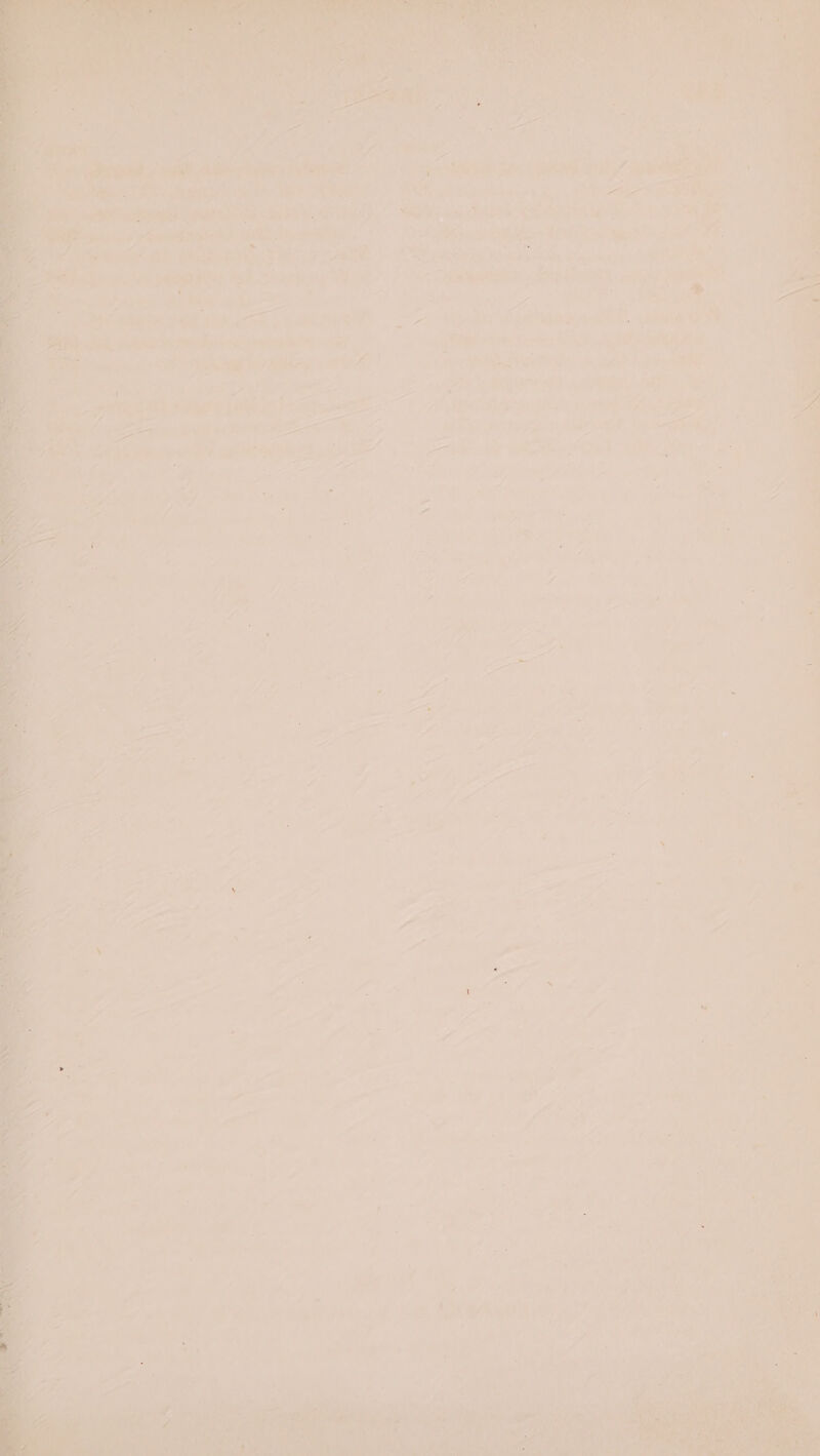 Ps ae le Feed [i eae ali