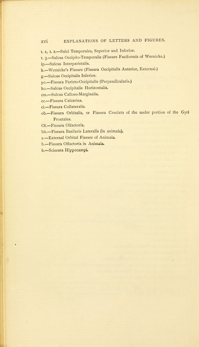 t> If t> 2.—Sulci Temporales, Superior and Inferior. t. 3—Sulcus Occipito-Temporalis (Fissure Fusiformis of Wernicke.) ip.—Sulcus Interparietalis. k.—Wernicke's Fissure (Fissura Occipitalis Anterior, External.) g. —Sulcus Occipitalis Inferior. p0 _Fissura Parieto-Occipitalis (Perpendicularis.) ho.—Sulcus Occipitalis Horizontalis, cm.—Sulcus Calloso-Marginalis. cc.—Fissura Calcarina. cl.—Fissura Collateralis. ob.—Fissura Orbitalis, or Fissura Cruciata of the under portion of the Gyri Frontales. Of.—Fissura Olfactoria. bit.—Fissura Basilaris Lateralis (in animals). a. —External Orbital Fissure of Animals. b. —Fissura Olfactoria in Animals. h. —Scissura Hippocampi.
