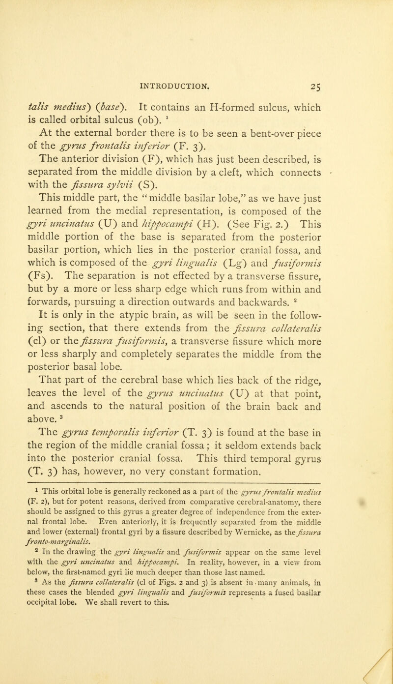 talis medius) {base). It contains an H-formed sulcus, which is called orbital sulcus (ob). 1 At the external border there is to be seen a bent-over piece of the gyrus froiitalis inferior (F. 3). The anterior division (F), which has just been described, is separated from the middle division by a cleft, which connects with the fissura sylvii (S). This middle part, the  middle basilar lobe, as we have just learned from the medial representation, is composed of the gyri uncinatus (U) and hippocampi (H). (See Fig. 2.) This middle portion of the base is separated from the posterior basilar portion, which lies in the posterior cranial fossa, and which is composed of the gyri lingualis (Lg) and pisiformis (Fs). The separation is not effected by a transverse fissure, but by a more or less sharp edge which runs from within and forwards, pursuing a direction outwards and backwards. 2 It is only in the atypic brain, as will be seen in the follow- ing section, that there extends from the fissura collateralis (cl) or the fissura fusiformisi a transverse fissure which more or less sharply and completely separates the middle from the posterior basal lobe. That part of the cerebral base which lies back of the ridge, leaves the level of the gyrus uncinatus (U) at that point, and ascends to the natural position of the brain back and above.3 The gyrus temporalis inferior (T. 3) is found at the base in the region of the middle cranial fossa; it seldom extends back into the posterior cranial fossa. This third temporal gyrus (T. 3) has, however, no very constant formation. 1 This orbital lobe is generally reckoned as a part of the gyrus frontalis medhis (F. 2), but for potent reasons, derived from comparative cerebral-anatomy, there should be assigned to this gyrus a greater degree of independence from the exter- nal frontal lobe. Even anteriorly, it is frequently separated from the middle and lower (external) frontal gyri by a fissure described by Wernicke, as the fissura fronto-marginalis. 2 In the drawing the gyri lingualis and fusiformis appear on the same level with the gyri imciftatus and hippocampi. In reality, however, in a view from below, the first-named gyri lie much deeper than those last named. 8 As the fissura collateralis (cl of Figs. 2 and 3) is absent in-many animals, in these cases the blended gyri lingualis and fusiformis represents a fused basilar occipital lobe. We shall revert to this.