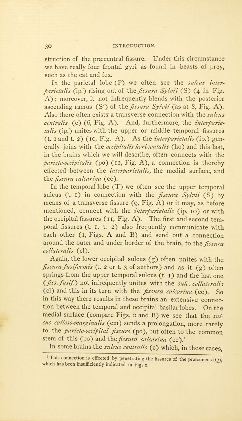 struction of the praecentral fissure. Under this circumstance we have really four frontal gyri as found in beasts of prey, such as the cat and fox. In the parietal lobe (P) we often see the sulcus inter- parietalis (ip.) rising out of the fissura Sylvii (S) (4 in Fig. A) ; moreover, it not infrequently blends with the posterior ascending ramus (S') of the fissura Sylvii (as at 8, Fig. A). Also there often exists a transverse connection with the sulcus centralis (c) (6, Fig. A). And, furthermore, the interparie- talis (ip.) unites with the upper or middle temporal fissures (t. 1 and t. 2) (10, Fig. A). As the interparietalis (ip.) gen- erally joins with the occipitalis horizojitalis (ho) and this last, in the brains which we will describe, often connects with the parieto-occipitalis (po) (12, Fig. A), a connection is thereby effected between the interparietalis, the medial surface, and the fissura calcarina (cc). In the temporal lobe (T) we often see the upper temporal sulcus (t. 1) in connection with the fissura Sylvii (S) by means of a transverse fissure (9, Fig. A) or it may, as before mentioned, connect with the interparietalis (ip. 10) or with the occipital fissures (11, Fig. A). The first and second tem- poral fissures (t. 1, t. 2) also frequently communicate with each other (1, Figs. A and B) and send out a connection around the outer and under border of the brain, to the fissura co I I at era lis (cl). Again, the lower occipital sulcus (g) often unites with the fissura fusiformis (t. 2 or t. 3 of authors) and as it (g) often springs from the upper temporal sulcus (t. 1) and the last one (fiss.fusif.) not infrequently unites with the sulc. collateralis (cl) and this in its turn with the fissura calcarina (cc). So in this way there results in these brains an extensive connec- tion between the temporal and occipital basilar lobes. On the medial surface (compare Figs. 2 and B) we see that the sul- cus calloso-marginalis (cm) sends a prolongation, more rarely to the parieto-occipital fissure (po), but often to the common stem of this (po) and the fissura calcarina (cc).1 In some brains the sulcus centralis (c) which, in these cases, 1 This connection is effected by penetrating the fissures of the preecuneus (Q), which has been insufficiently indicated in Fig. 2.