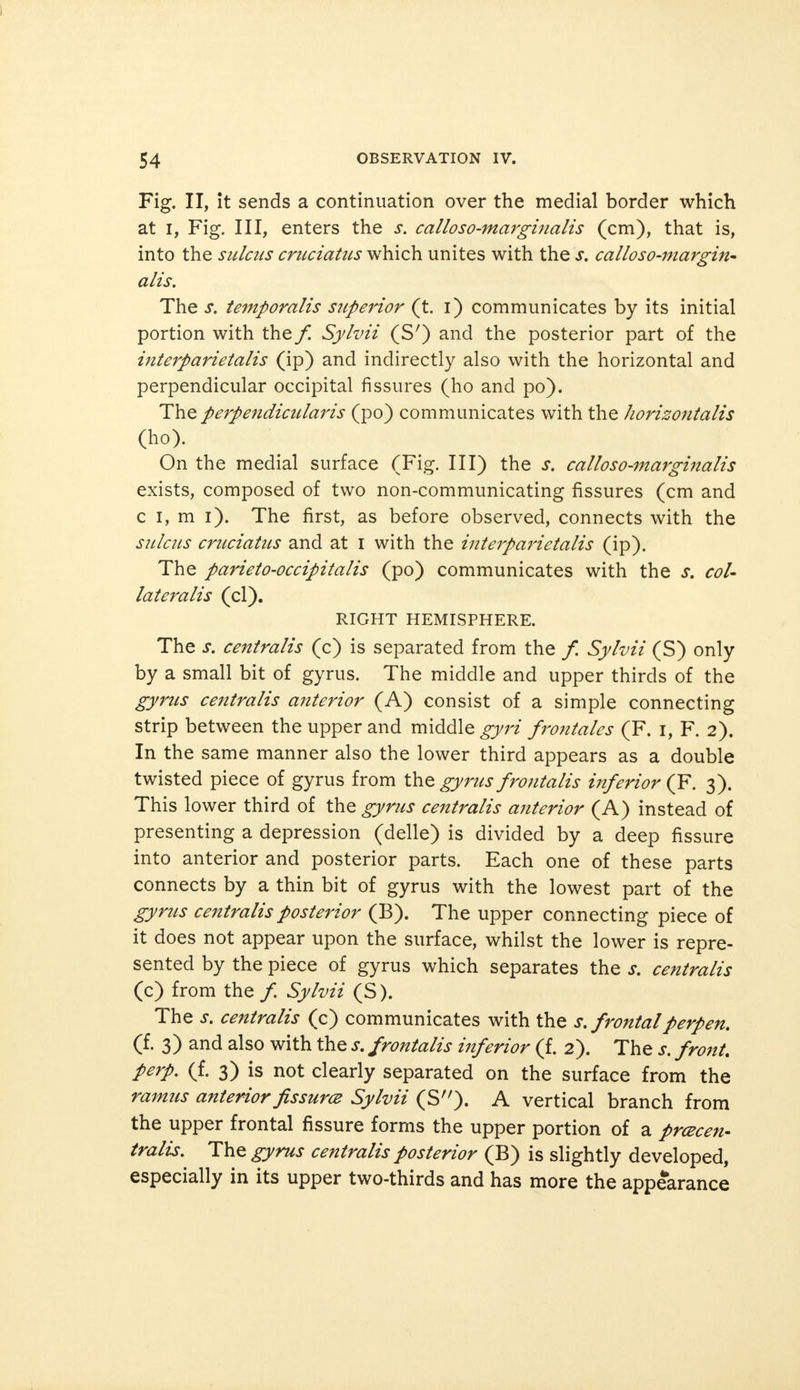 Fig. II, it sends a continuation over the medial border which at I, Fig. Ill, enters the s. calloso-marginalis (cm), that is, into the sulcus cruciatus which unites with the s. calloso-margin- alis. The s. temporalis superior (t. i) communicates by its initial portion with the f Sylvii (S') and the posterior part of the interparietalis (ip) and indirectly also with the horizontal and perpendicular occipital fissures (ho and po). The perpendictilaris (po) communicates with the horizontalis (ho). On the medial surface (Fig. Ill) the s. calloso-marginalis exists, composed of two non-communicating fissures (cm and c i, m i). The first, as before observed, connects with the sulcus cruciatus and at I with the interparietalis (ip). The parieto-occipitalis (po) communicates with the s. col- lateralis (cl). RIGHT HEMISPHERE. The s. centralis (c) is separated from the / Sylvii (S) only by a small bit of gyrus. The middle and upper thirds of the gyrus centralis anterior (A) consist of a simple connecting strip between the upper and middle gyri frontales (F. i, F. 2). In the same manner also the lower third appears as a double twisted piece of gyrus from the gyrus frontalis inferior (F. 3). This lower third of the gyrus centralis anterior (A) instead of presenting a depression (delle) is divided by a deep fissure into anterior and posterior parts. Each one of these parts connects by a thin bit of gyrus with the lowest part of the gyrus centralis posterior (B). The upper connecting piece of it does not appear upon the surface, whilst the lower is repre- sented by the piece of gyrus which separates the s. centralis (c) from the /. Sylvii (S). The s. centralis (c) communicates with the s. frontalperpen. (f. 3) and also with the s. frontalis inferior (f. 2). The s. front, perp. (f. 3) is not clearly separated on the surface from the ramus anterior fissurat Sylvii (S). A vertical branch from the upper frontal fissure forms the upper portion of a prcecen- tralis. The gyrus centralis posterior (B) is slightly developed, especially in its upper two-thirds and has more the appearance