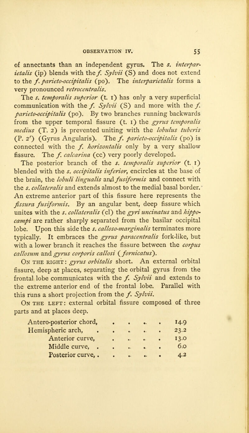 of annectants than an independent gyrus. The s. interpar- letalis (ip) blends with the f Sylvii (S) and does not extend to the f. parieto-occipitalis (po). The interparietalis forms a very pronounced retroc entrails. The s. temporalis superior (t. i) has only a very superficial communication with the /. Sylvii (S) and more with the /. parieto-occipitalis (po). By two branches running backwards from the upper temporal fissure (t. i) the gyrus temporalis medius (T. 2) is prevented uniting with the lobulus tuberis (P. 2r) (Gyrus Angularis). The /. parieto-occipitalis (po) is connected with the /. horizontalis only by a very shallow fissure. The /. calcarina (cc) very poorly developed. The posterior branch of the s. temporalis superior (t. 1) blended with the s. occipitalis inferior, encircles at the base of the brain, the lobuli lingualis and fusiformis and connect with the s. collateralis and extends almost to the medial basal border. An extreme anterior part of this fissure here represents the fissura fusiformis. By an angular bent, deep fissure which unites with the s. collateralis (cl) the gyri uncinatus and hippo- campi are rather sharply separated from the basilar occipital lobe. Upon this side the s. calloso-marginalis terminates more typically. It embraces the gyrus paracentralis fork-like, but with a lower branch it reaches the fissure between the corpus callosum and gyrus corporis callosi {fornicatus). On the right : gyrus orbitalis short. An external orbital fissure, deep at places, separating the orbital gyrus from the frontal lobe communicates with the /. Sylvii and extends to the extreme anterior end of the frontal lobe. Parallel with this runs a short projection from the /. Sylvii. On the left: external orbital fissure composed of three parts and at places deep. Antero-posterior chord, ..... 14.9 Hemispheric arch, ...... 23.2 Anterior curve, . ..... 13.0 Middle curve, . . 6.0 Posterior curve,........ 4.2