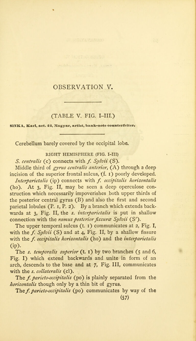 (TABLE V. FIG. I-III.) SIMvA. Karl, aet. 43, Magyar, artist, Ijank-note counterfeiter. Cerebellum barely covered by the occipital lobe. RIGHT HEMISPHERE (FIG. I-III) 5. centralis (c) connects with /. Sylvii (S). Middle third of gyrus centralis anteriory (A) through a deep incision of the superior frontal sulcus, (f. i) poorly developed. Interparietalis (ip) connects with f. occipitalis horizontalis (ho). At 3, Fig. II, may be seen a deep operculose con- struction which necessarily impoverishes both upper thirds of the posterior central gyrus (B) and also the first and second parietal lobules (P. i, P. 2). By a branch which extends back- wards at 3, Fig. II, the s. interparietalis is put in shallow connection with the ramus posterior fissures Sylvii (S')- The upper temporal sulcus (t. 1) communicates at 2, Fig. I, with the /. Sylvii (S) and at 4, Fig. II, by a shallow fissure with the f. occipitalis horizontalis (ho) and the interparietalis OP)- The s. temporalis superior (t. 1) by two branches (5 and 6, Fig. I) which extend backwards and unite in form of an arch, descends to the base and at 7, Fig. Ill, communicates with the s. collateralis (cl). The f. parieto-occipitalis (po) is plainly separated from the horizontalis though only by a thin bit of gyrus. The f. parieto-occipitalis (po) communicates by way of the