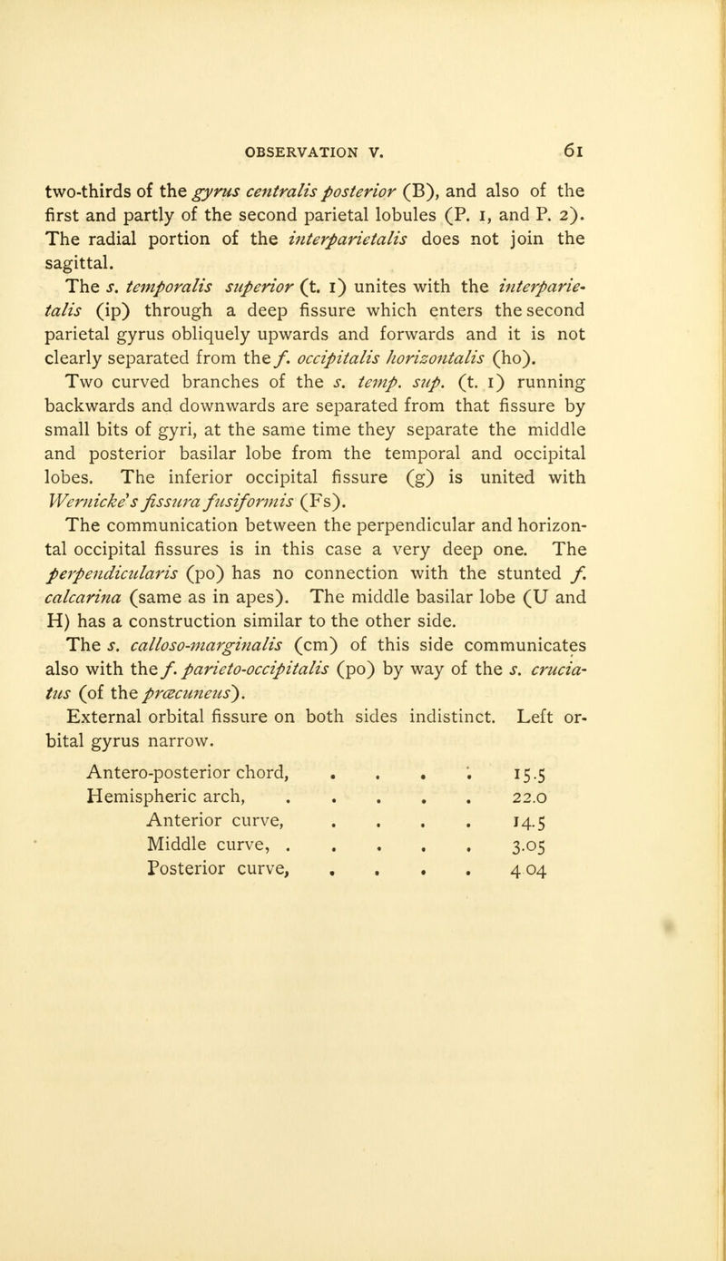 two-thirds of the gyrus centralis posterior (B), and also of the first and partly of the second parietal lobules (P. i, and P. 2). The radial portion of the interparietalis does not join the sagittal. The s. temporalis superior (t. 1) unites with the interparie~ talis (ip) through a deep fissure which enters the second parietal gyrus obliquely upwards and forwards and it is not clearly separated from the f. occipitalis horizontalis (ho). Two curved branches of the s. temp. sup. (t. 1) running backwards and downwards are separated from that fissure by small bits of gyri, at the same time they separate the middle and posterior basilar lobe from the temporal and occipital lobes. The inferior occipital fissure (g) is united with Wernicke s fissura fusiformis (Fs). The communication between the perpendicular and horizon- tal occipital fissures is in this case a very deep one. The perpendicular is (po) has no connection with the stunted f, calcarina (same as in apes). The middle basilar lobe (U and H) has a construction similar to the other side. The s. calloso-marginalis (cm) of this side communicates also with the /. parieto-occipitalis (po) by way of the s. crucia- tus (of the prcecuneus). External orbital fissure on both sides indistinct. Left or- bital gyrus narrow. Antero-posterior chord, • . • 15.5 Hemispheric arch, 22.0 Anterior curve, . . . . 14.5 Middle curve, 3.05 Posterior curve, . . . . 4 04