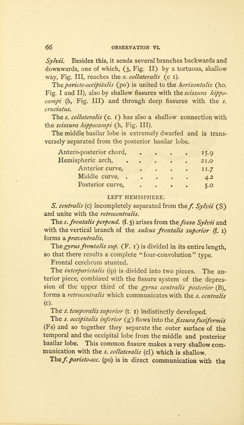 SylviL Besides this, it sends several branches backwards and downwards, one of which, (3, Fig. II) by a tortuous, shallow way, Fig. Ill, reaches the s. collateralis (c 1). Theparieto-occipitalis (po) is united to the horizo7italis (ho. Fig. I and II), also by shallow fissures with thescissura hippo- campi (h, Fig. Ill) and through deep fissures with the s. cruciatus. The collateralis (c. 1) has also a shallow connection with the scissura hippocampi (h, Fig. III). The middle basilar lobe is extremely dwarfed and is trans- versely separated from the posterior basilar lobe. Antero-posterior chord, . . . . 15.9 Hemispheric arch, 21.0 Anterior curve, . . . . 11.7 Middle curve, 4.2 Posterior curve, . . • . 5.0 LEFT HEMISPHERE. 5. centralis (c) incompletely separated from the f. Sylvii (S) and unite with the retrocentralis. The j. frontalis perpend, (f. 3) arises from the fossa Sylvii and with the vertical branch of the sulcus frontalis superior (f. 1) forms a prcecentralis. The gyms frontalis sup. (F. 1) is divided in its entire length, so that there results a complete  four-convolution  type. Frontal cerebrum stunted. The interparietalis (ip) is divided into two pieces. The an- terior piece, combined with the fissure system of the depres- sion of the upper third of the gyrus centralis posterior (B), forms a retrocentralis which communicates with the s. centralis (c). The s. temporalis superior (t. 1) indistinctly developed. The s. occipitalis inferior (g) flows into the fissurafusiformis (Fs) and so together they separate the outer surface of the temporal and the occipital lobe from the middle and posterior basilar lobe. This common fissure makes a very shallow com- munication with the s. collateralis (cl) which is shallow. The fparieto-occ. (po) is in direct communication with the