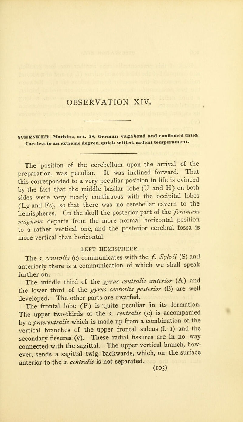 SCHENKER, Mathias, aet. 38, German vagabond and confirmed thief. Careless to an extreme degree, quick witted, ardent temperament. The position of the cerebellum upon the arrival of the preparation, was peculiar. It was inclined forward. That this corresponded to a very peculiar position in life is evinced by the fact that the middle basilar lobe (U and H) on both sides were very nearly continuous with the occipital lobes (Lg and Fs), so that there was no cerebellar cavern to the hemispheres. On the skull the posterior part of the foramum magnum departs from the more normal horizontal position to a rather vertical one, and the posterior cerebral fossa is more vertical than horizontal. LEFT HEMISPHERE. The s. centralis (c) communicates with the /. Sylvii (S) and anteriorly there is a communication of which we shall speak further on. The middle third of the gyrus centralis anterior (A) and the lower third of the gyrus centralis posterior (B) are well developed. The other parts are dwarfed. The frontal lobe (F) is -quite peculiar in its formation. The upper two-thirds of the s. centralis (c) is accompanied by a praecentralis which is made up from a combination of the vertical branches of the upper frontal sulcus (f. i) and the secondary fissures (<p). These radial fissures are in no way connected with the sagittal. The upper vertical branch, how- ever, sends a sagittal twig backwards, which, on the surface anterior to the s. centralis is not separated.