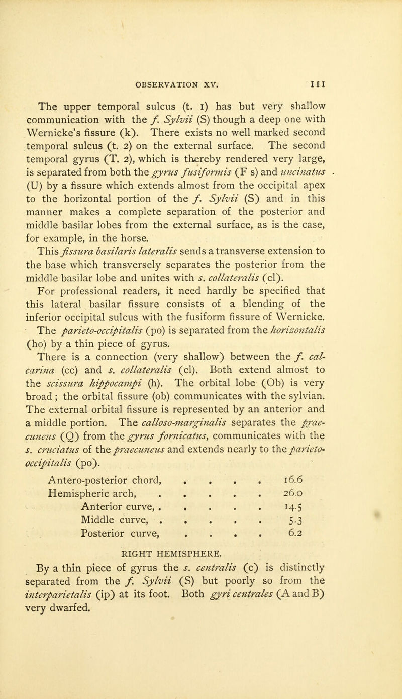 \ OBSERVATION XV. III The upper temporal sulcus (t. i) has but very shallow communication with the /. Sylvii (S) though a deep one with Wernicke's fissure (k). There exists no well marked second temporal sulcus (t. 2) on the external surface. The second temporal gyrus (T. 2), which is thereby rendered very large, is separated from both the gyrus fusiformis (F s) and uncinatus (U) by a fissure which extends almost from the occipital apex to the horizontal portion of the /. Sylvii (S) and in this manner makes a complete separation of the posterior and middle basilar lobes from the external surface, as is the case, for example, in the horse. This fissura basilaris lateralis sends a transverse extension to the base which transversely separates the posterior from the middle basilar lobe and unites with s. collateralis (cl). For professional readers, it need hardly be specified that this lateral basilar fissure consists of a blending of the inferior occipital sulcus with the fusiform fissure of Wernicke. The parieto-occipitalis (po) is separated from the horizontalis (ho) by a thin piece of gyrus. There is a connection (very shallow) between the /. cal- carina (cc) and s. collateralis (cl). Both extend almost to the scissura hippocampi (h). The orbital lobe (Ob) is very broad ; the orbital fissure (ob) communicates with the sylvian. The external orbital fissure is represented by an anterior and a middle portion. The calloso-marginalis separates the pre- cuneus (Q) from the gyrus fornicatus, communicates with the s. cruciatus of the praecuneus and extends nearly to the parieto- occipitalis (po). Antero-posterior chord, . . . . 16.6 Hemispheric arch, 26.0 Anterior curve, 14.5 Middle curve, 5.3 Posterior curve, . ... 6.2 RIGHT HEMISPHERE. By a thin piece of gyrus the s. centralis (c) is distinctly separated from the /. Sylvii (S) but poorly so from the interparietal (ip) at its foot. Both gyri centrales (A and B) very dwarfed.