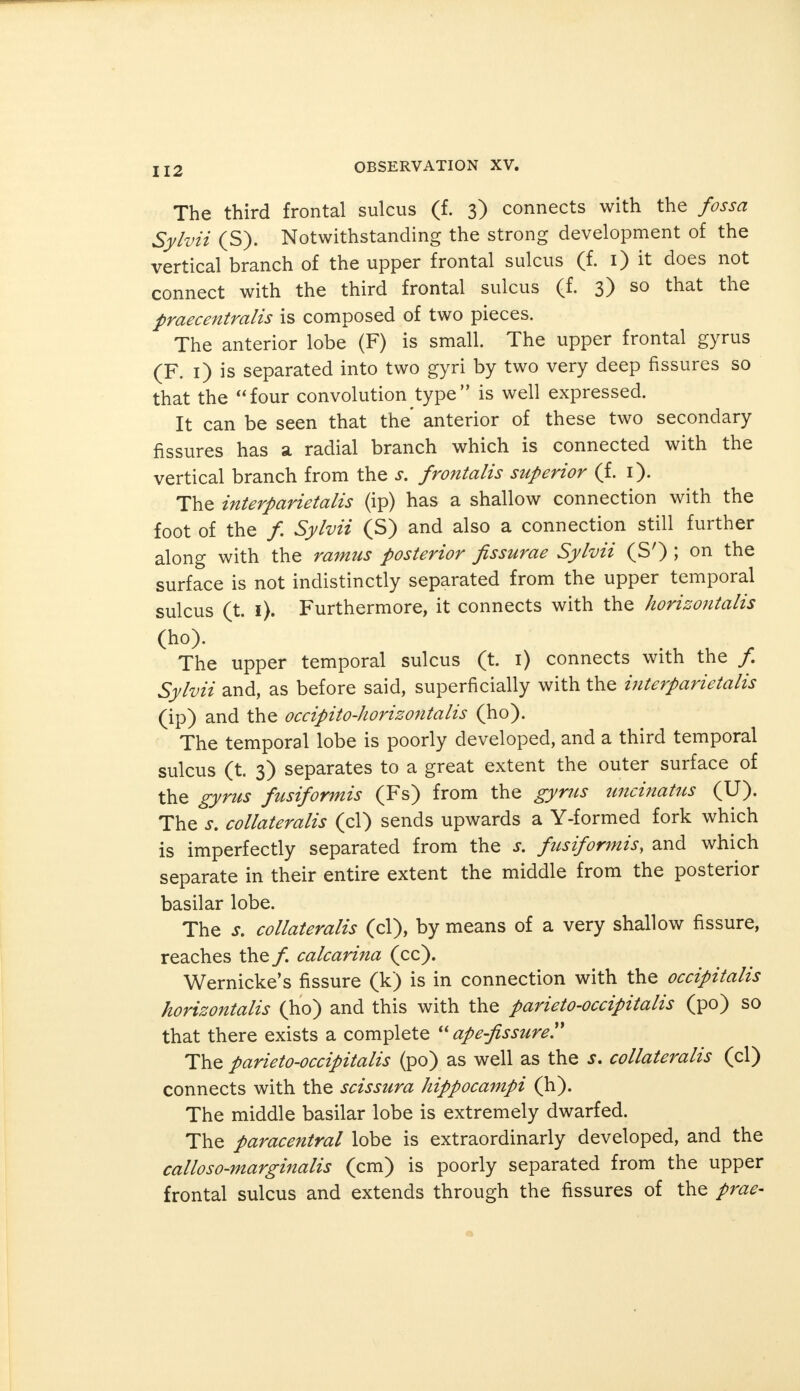 The third frontal sulcus (f. 3) connects with the fossa Sylvii (S). Notwithstanding the strong development of the vertical branch of the upper frontal sulcus (f. 1) it does not connect with the third frontal sulcus (f. 3) so that the praecentralis is composed of two pieces. The anterior lobe (F) is small. The upper frontal gyrus (F. 1) is separated into two gyri by two very deep fissures so that the four convolution type is well expressed. It can be seen that the' anterior of these two secondary fissures has a radial branch which is connected with the vertical branch from the s. frontalis superior (f. 1). The interparietalis (ip) has a shallow connection with the foot of the /. Sylvii (S) and also a connection still further along with the ramus posterior fissurae Sylvii (S') ; on the surface is not indistinctly separated from the upper temporal sulcus (t. 1). Furthermore, it connects with the horizontalis (ho). The upper temporal sulcus (t. 1) connects with the /. Sylvii and, as before said, superficially with the interparietalis (ip) and the occipito-horizontalis (ho). The temporal lobe is poorly developed, and a third temporal sulcus (t. 3) separates to a great extent the outer surface of the gyrus fusiformis (Fs) from the gyrus uncinatus (U). The s. collateralis (cl) sends upwards a Y-formed fork which is imperfectly separated from the s. fusiformis, and which separate in their entire extent the middle from the posterior basilar lobe. The s. collateralis (cl), by means of a very shallow fissure, reaches the /. calcarina (cc). Wernicke's fissure (k) is in connection with the occipitalis horizontalis (ho) and this with the parieto-occipitalis (po) so that there exists a complete ape-fissure The parieto-occipitalis (po) as well as the s. collateralis (cl) connects with the scissura hippocampi (h). The middle basilar lobe is extremely dwarfed. The paracentral lobe is extraordinary developed, and the calloso-marginalis (cm) is poorly separated from the upper frontal sulcus and extends through the fissures of the prae-