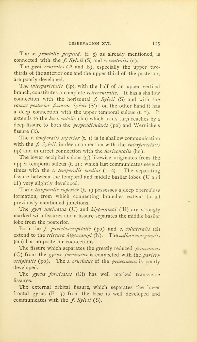 The s. frontalis perpend, (f. 3) as already mentioned, is connected with the /. Sylvii (S) and s. centralis (c). The gyri centrales (A and B), especially the upper two- thirds of the anterior one and the upper third of the posterior, are poorly developed. The interparietal (ip), with the half of an upper vertical branch, constitutes a complete retrocentralis. It has a shallow connection with the horizontal /. Sylvii (S) and with the ramus posterior fissurae Sylvii (Sr); on the other hand it has a deep connection with the upper temporal sulcus (t. 1). It extends to the horizontalis (ho) which in its tuqi reaches by a deep fissure to both the perpendicularis (po) and Wernicke's fissure (k). The s, temporalis superior (t. 1) is in shallow communication with the f. Sylvii, in deep connection with the i7iterparictalis (ip) and in direct connection with the horizontalis (ho). The lower occipital sulcus (g) likewise originates from the upper temporal sulcus (t. 1); which last communicates several times with the s. temporalis medius (t. 2). The separating fissure between the temporal and middle basilar lobes (U and H) very slightly developed. The s. temporalis superior (t. 1) possesses a deep operculose formation, from which connecting branches extend to all previously mentioned junctions. The gyri uncinatus (U) and hippocampi ( H) are strongly marked with fissures and a fissure separates the middle basilar lobe from the posterior. Both the /. parieto-occipitalis (po) and s. collateralis (cl) extend to the scissura hippocampi (h). The calloso-marginalis (cm) has no posterior connections. The fissure which separates the greatly reduced praecuneus (Q) from the gyrus fornicatus is connected with the parieto- occipitalis (po). The s. cruciatus of the praecuneus is poorly developed. The gyrus fornicatus (Gf) has well marked transverse fissures. The external orbital fissure, which separates the lower frontal gyrus (F. 3) from the base is well developed and communicates with the /. Sylvii (S).