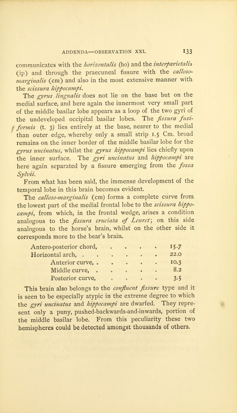 communicates with the horizontalis (ho) and the interparietals (ip) and through the praecuneal fissure with the calloso- marginalis (cm) and also in the most extensive manner with the scissura hippocampi. The gyrus lingualis does not lie on the base but on the medial surface, and here again the innermost very small part of the middle basilar lobe appears as a loop of the two gyri of the undeveloped occipital basilar lobes. The fissura fusi- formis (t. 3) lies entirely at the base, nearer to the medial than outer edge, whereby only a small strip 1.5 Cm. broad remains on the inner border of the middle basilar lobe for the gyms uncinatus, whilst the gyrus hippocampi lies chiefly upon the inner surface. The gyri uncinatus and hippocampi are here again separated by a fissure emerging from the fossa Sylvii. From what has been said, the immense development of the temporal lobe in this brain becomes evident. The calloso-marginalis (cm) forms a complete curve from the lowest part of the medial frontal lobe to the scissura hippo- campiy from which, in the frontal wedge, arises a condition analogous to the fissura cruciata of Leuret) on this side analogous to the horse's brain, whilst on the other side it corresponds more to the bear's brain. Antero-posterior chord, . . . . 15.7 Horizontal arch, . . . . . . 22.0 Anterior curve, • . . . 10.3 Middle curve, 8.2 Posterior curve, .... 3.5 This brain also belongs to the confluent fissure type and it is seen to be especially atypic in the extreme degree to which the gyri uncinatus and hippocampi are dwarfed. They repre- sent only a puny, pushed-backwards-and-inwards, portion of the middle basilar lobe. From this peculiarity these two hemispheres could be detected amongst thousands of others.