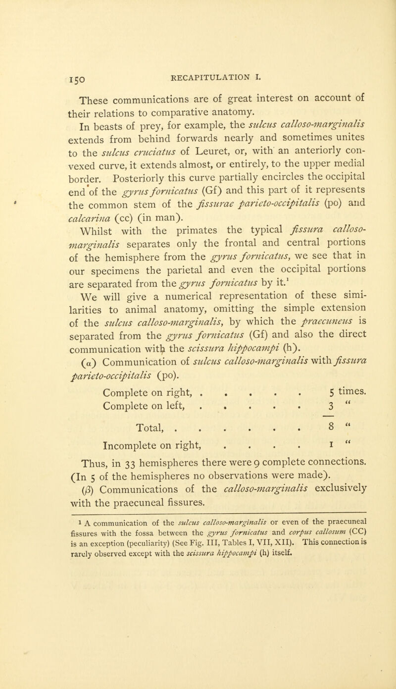 These communications are of great interest on account of their relations to comparative anatomy. In beasts of prey, for example, the sulcus calloso-marginalis extends from behind forwards nearly and sometimes unites to the sulcus cruciatus of Leuret, or, with an anteriorly con- vexed curve, it extends almost, or entirely, to the upper medial border. Posteriorly this curve partially encircles the occipital end of the gyrus fornicatus (Gf) and this part of it represents the common stem of the fissurae parieto-occipitalis (po) and calcarina (cc) (in man). Whilst with the primates the typical fissura calloso- marginalis separates only the frontal and central portions of the hemisphere from the gyrus fornicatus, we see that in our specimens the parietal and even the occipital portions are separated from the gyrus fornicatus by it.1 We will give a numerical representation of these simi- larities to animal anatomy, omitting the simple extension of the sulcus calloso-marginalis, by which the praecuneus is separated from the gyrus fornicatus (Gf) and also the direct communication with the scissura hippocampi (h). (a) Communication of sulcus calloso-marginalis with fissura parieto-occipitalis (po). Complete on right, 5 times. Complete on left, ..... 3  Total, 8  Incomplete on right, .... I  Thus, in 33 hemispheres there were 9 complete connections. (In 5 of the hemispheres no observations were made). (ß) Communications of the calloso-marginalis exclusively with the praecuneal fissures. 1 A communication of the sulcus calloso-marginalis or even of the praecuneal fissures with the fossa between the gyrus fornicatus and corpus callosum (CC) is an exception (peculiarity) (See Fig. Ill, Tables I, VII, XII). This connection is rarely observed except with the scissura hippocampi (h) itself.
