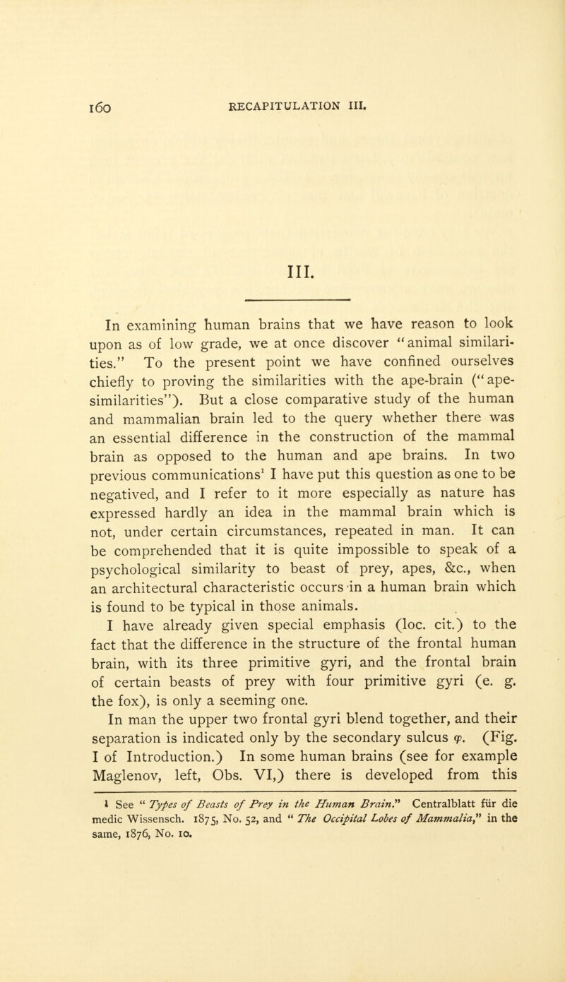 III. In examining human brains that we have reason to look upon as of low grade, we at once discover  animal similari- ties. To the present point we have confined ourselves chiefly to proving the similarities with the ape-brain ( ape- similarities). But a close comparative study of the human and mammalian brain led to the query whether there was an essential difference in the construction of the mammal brain as opposed to the human and ape brains. In two previous communications1 I have put this question as one to be negatived, and I refer to it more especially as nature has expressed hardly an idea in the mammal brain which is not, under certain circumstances, repeated in man. It can be comprehended that it is quite impossible to speak of a psychological similarity to beast of prey, apes, &c, when an architectural characteristic occurs -in a human brain which is found to be typical in those animals. I have already given special emphasis (loc. cit.) to the fact that the difference in the structure of the frontal human brain, with its three primitive gyri, and the frontal brain of certain beasts of prey with four primitive gyri (e. g. the fox), is only a seeming one. In man the upper two frontal gyri blend together, and their separation is indicated only by the secondary sulcus <p. (Fig. I of Introduction.) In some human brains (see for example Maglenov, left, Obs. VI,) there is developed from this 1 See  Types of Beasts of Prey in the Human Brain. Centralblatt für die medic Wissensch. 1875, No. 52, and  The Occipital Lobes of Mammalia in the