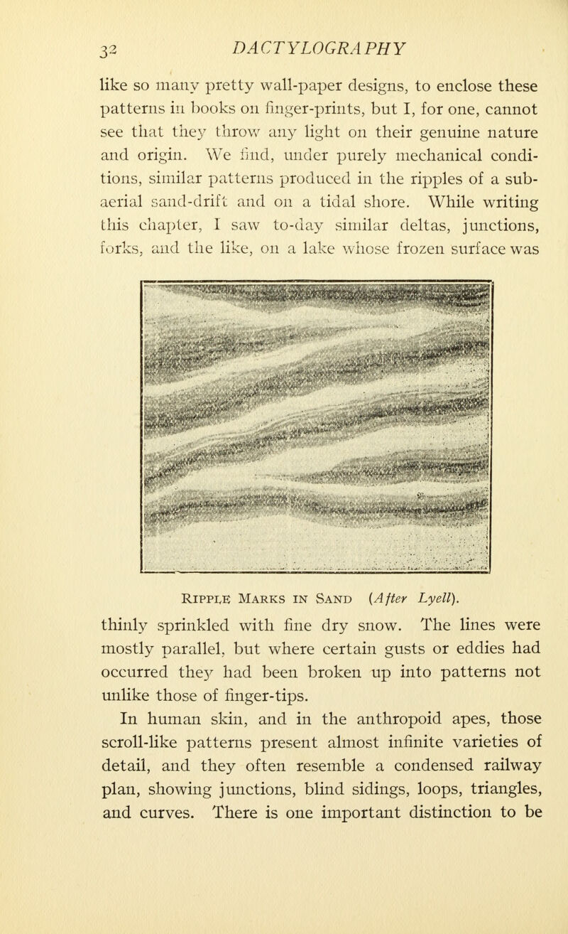 like so many pretty wall-paper designs, to enclose these patterns in books on finger-prints, but I, for one, cannot see that they throw any light on their genuine nature and origin. We find, under purely mechanical condi- tions, similar patterns produced in the ripples of a sub- aerial sand-drift and on a tidal shore. While writing this chapter, I saw to-day similar deltas, junctions, forks, and the like, on a lake whose frozen surface was Rippi,E Marks in Sand {After Lyell). thinly sprinkled with fine dry snow. The lines were mostly parallel, but where certain gusts or eddies had occurred the}' had been broken up into patterns not unlike those of finger-tips. In human skin, and in the anthropoid apes, those scroll-like patterns present almost infinite varieties of detail, and they often resemble a condensed railway plan, showing junctions, blind sidings, loops, triangles, and curves. There is one important distinction to be