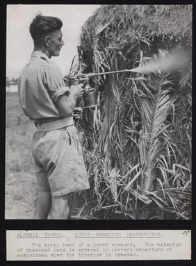 Annaba, Algeria: power spraying the exterior of thatched huts to prevent the departure of mosquitoes. Photograph, 1944.