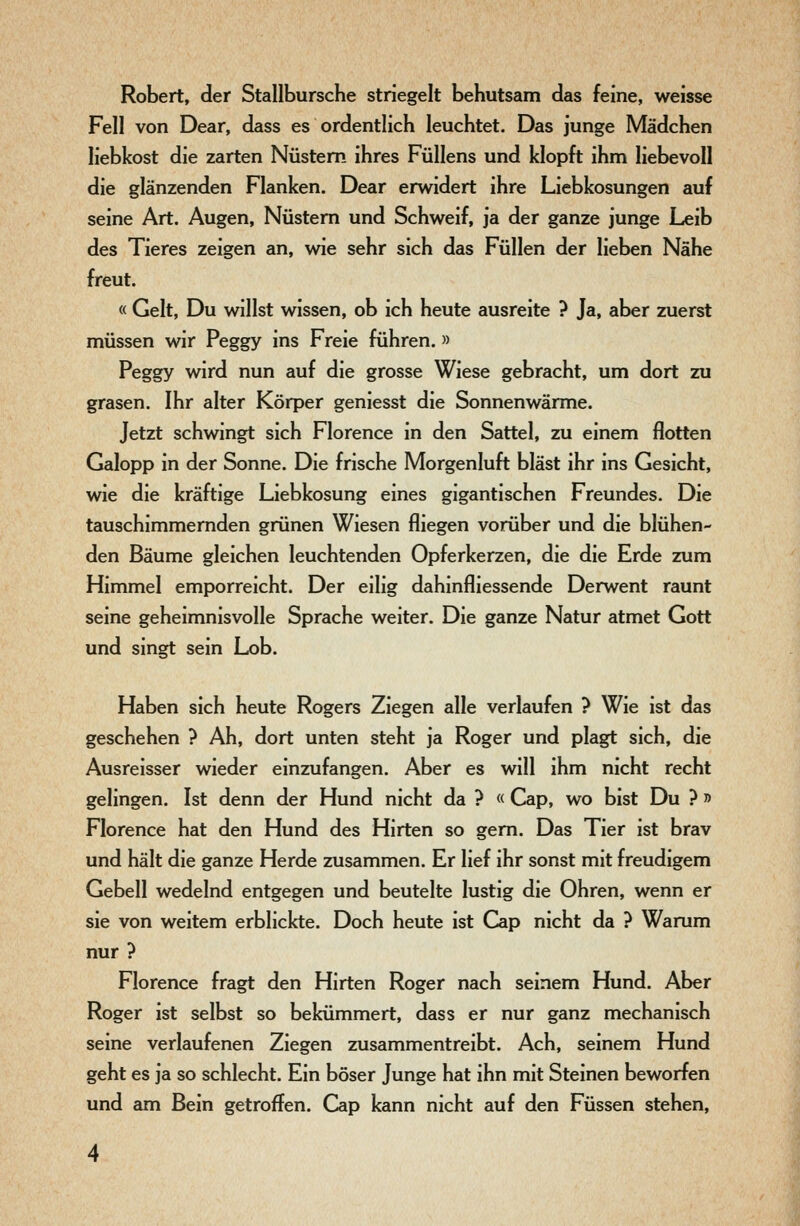 Robert, der Stallbursche striegelt behutsam das feine, weisse Fell von Dear, dass es ordentlich leuchtet. Das junge Mädchen liebkost die zarten Nüstern ihres Füllens und klopft ihm liebevoll die glänzenden Flanken. Dear erwidert ihre Liebkosungen auf seine Art. Augen, Nüstern und Schweif, ja der ganze junge Leib des Tieres zeigen an, wie sehr sich das Füllen der lieben Nähe freut. « Gelt, Du willst wissen, ob ich heute ausreite ? Ja, aber zuerst müssen wir Peggy ins Freie führen.» Peggy wird nun auf die grosse Wiese gebracht, um dort zu grasen. Ihr alter Körper geniesst die Sonnenwärme. Jetzt schwingt sich Florence in den Sattel, zu einem flotten Galopp in der Sonne. Die frische Morgenluft bläst ihr ins Gesicht, wie die kräftige Liebkosung eines gigantischen Freundes. Die tauschimmernden grünen Wiesen fliegen vorüber und die blühen- den Bäume gleichen leuchtenden Opferkerzen, die die Erde zum Himmel emporreicht. Der eilig dahinfliessende Derwent raunt seine geheimnisvolle Sprache weiter. Die ganze Natur atmet Gott und singt sein Lob. Haben sich heute Rogers Ziegen alle verlaufen ? Wie ist das geschehen ? Ah, dort unten steht ja Roger und plagt sich, die Ausreisser wieder einzufangen. Aber es will ihm nicht recht gelingen. Ist denn der Hund nicht da ? « Cap, wo bist Du ? Florence hat den Hund des Hirten so gem. Das Tier ist brav und hält die ganze Herde zusammen. Er lief ihr sonst mit freudigem Gebell wedelnd entgegen und beutelte lustig die Ohren, wenn er sie von weitem erblickte. Doch heute ist Cap nicht da ? Warum nur ? Florence fragt den Hirten Roger nach seinem Hund. Aber Roger ist selbst so bekümmert, dass er nur ganz mechanisch seine verlaufenen Ziegen zusammentreibt. Ach, seinem Hund geht es ja so schlecht. Ein böser Junge hat ihn mit Steinen beworfen und am Bein getroffen. Cap kann nicht auf den Füssen stehen.