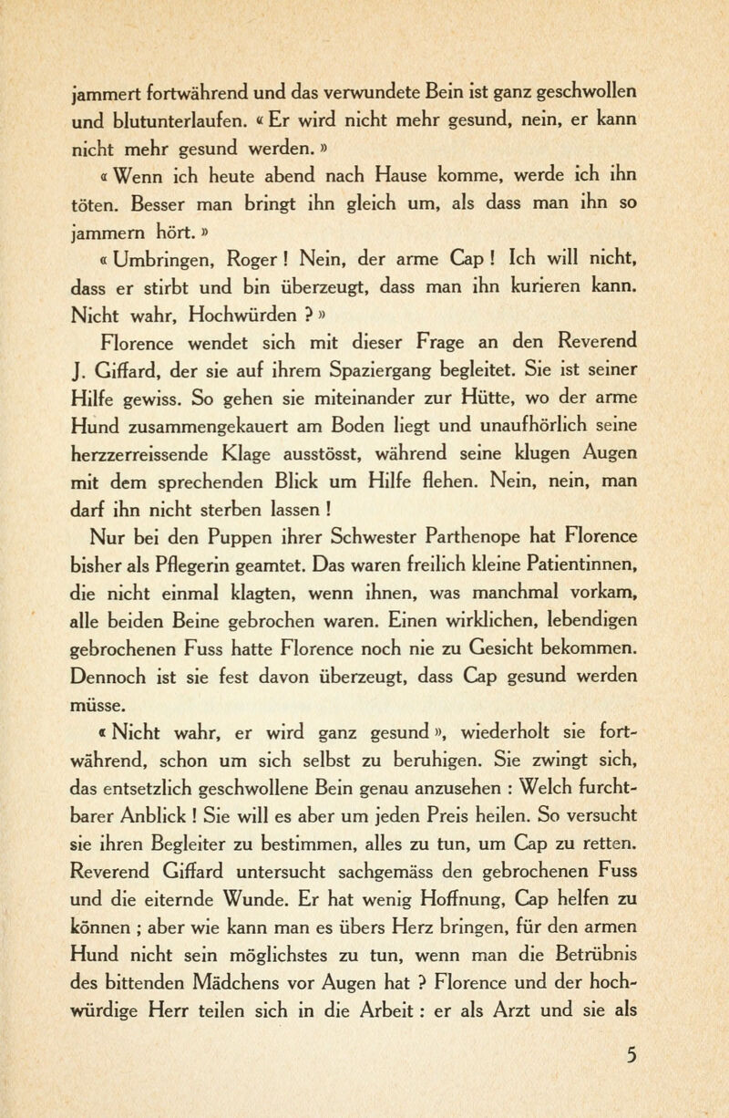 jammert fortwährend und das verwundete Bein ist ganz geschwollen und blutunterlaufen. « Er wird nicht mehr gesund, nein, er kann nicht mehr gesund werden. » « Wenn ich heute abend nach Hause komme, werde ich ihn töten. Besser man bringt ihn gleich um, als dass man ihn so jammern hört. » « Umbringen, Roger ! Nein, der arme Cap ! Ich will nicht, dass er stirbt und bin überzeugt, dass man ihn kurieren kann. Nicht wahr. Hochwürden ? » Florence wendet sich mit dieser Frage an den Reverend J. Giffard, der sie auf ihrem Spaziergang begleitet. Sie ist seiner Hilfe gewiss. So gehen sie miteinander zur Hütte, wo der arme Hund zusammengekauert am Boden liegt und unaufhörlich seme herzzerreissende Klage ausstösst, während seine klugen Augen mit dem sprechenden Blick um Hilfe flehen. Nein, nein, man darf ihn nicht sterben lassen ! Nur bei den Puppen ihrer Schwester Parthenope hat Florence bisher als Pflegerin geamtet. Das waren freilich kleine Patientinnen, die nicht einmal klagten, wenn ihnen, was manchmal vorkam, alle beiden Beine gebrochen waren. Einen wirklichen, lebendigen gebrochenen Fuss hatte Florence noch nie zu Gesicht bekommen. Dennoch ist sie fest davon überzeugt, dass Cap gesund werden müsse. «Nicht wahr, er wird ganz gesund», wiederholt sie fort- während, schon um sich selbst zu beruhigen. Sie zwingt sich, das entsetzlich geschwollene Bein genau anzusehen : Welch furcht- barer Anblick ! Sie will es aber um jeden Preis heilen. So versucht sie ihren Begleiter zu bestimmen, alles zu tun, um Cap zu retten. Reverend Giffard untersucht sachgemäss den gebrochenen Fuss und die eiternde Wunde. Er hat wenig Hoffnung, Cap helfen zu können ; aber wie kann man es übers Herz bringen, für den armen Hund nicht sein möglichstes zu tun, wenn man die Betrübnis des bittenden Mädchens vor Augen hat ? Florence und der hoch- würdige Herr teilen sich in die Arbeit: er als Arzt und sie als