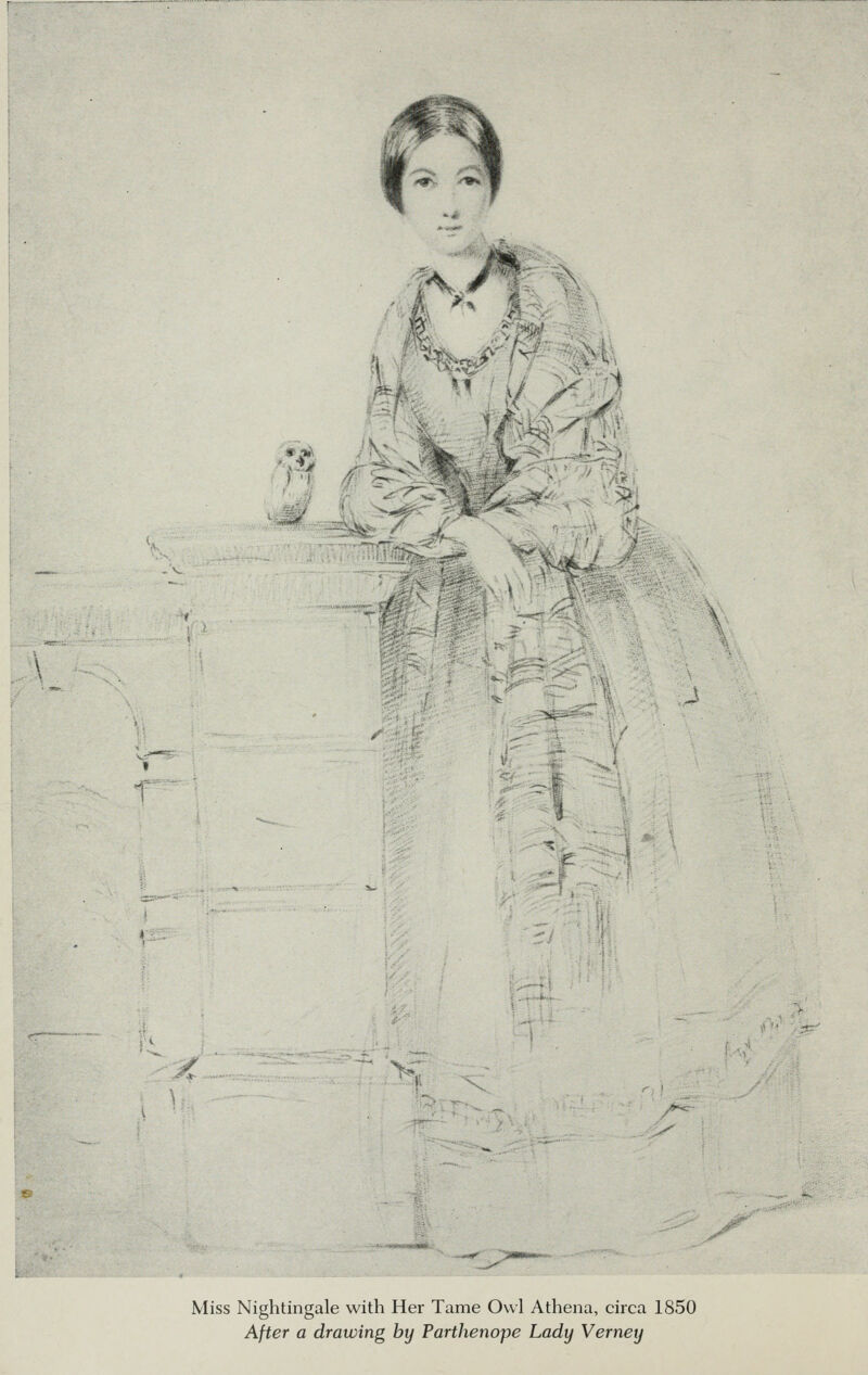 • J* A '■m- -x \C< ' ' i: y Miss Nightingale with Her Tame Owl Athena, circa 1850 After a drawing by Parthenope Lady Verney