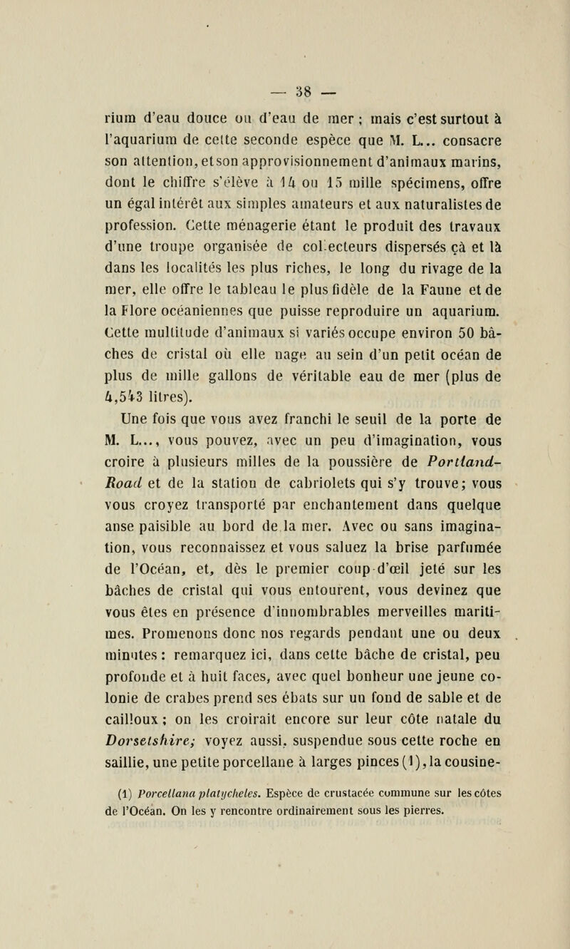 rium d'eau douce ou d'eau de raer ; mais c'est surtout à l'aquarium de celte seconde espèce que IM. L... consacre son altention, etson approvisionnement d'animaux marins, dont le chiffre s'élève à H ou 15 mille spécimens, offre un égal intérêt aux simples amateurs et aux naturalistes de profession. Cette ménagerie étant le produit des travaux d'une troupe organisée de col-ecLeurs dispersés çà et là dans les localités les plus riches, le long du rivage de la mer, elle offre le tableau le plus fidèle de la Faune et de la Flore océaniennes que puisse reproduire un aquarium. Cette multitude d'animaux si variés occupe environ 50 bâ- ches de cristal où elle nage au sein d'un petit océan de plus de mille gallons de véritable eau de mer (plus de 4,5i3 litres). Une fois que vous avez franchi le seuil de la porte de M. L..., vous pouvez, avec un peu d'imagination, vous croire à plusieurs milles de la poussière de Portland- Road et de la station de cabriolets qui s'y trouve; vous vous croyez transporté par enchantement dans quelque anse paisible au bord de la mer. Avec ou sans imagina- tion, vous reconnaissez et vous saluez la brise parfumée de l'Océan, et, dès le premier coup d'oeil jeté sur les bâches de cristal qui vous entourent, vous devinez que vous êtes en présence d'innombrables merveilles mariti- mes. Promenons donc nos regards pendant une ou deux minutes : remarquez ici, dans cette bâche de cristal, peu profonde et à huit faces, avec quel bonheur une jeune co- lonie de crabes prend ses ébats sur un fond de sable et de cailloux ; on les croirait encore sur leur côte natale du Dorsetshire; voyez aussi, suspendue sous celte roche en saillie, une petiteporcellaue â larges pinces(1),lacousine- (1) Porcellana platijcheles. Espèce de crustacée commune sur les côtes de l'Océan. On les y rencontre ordinairement sous les pierres.