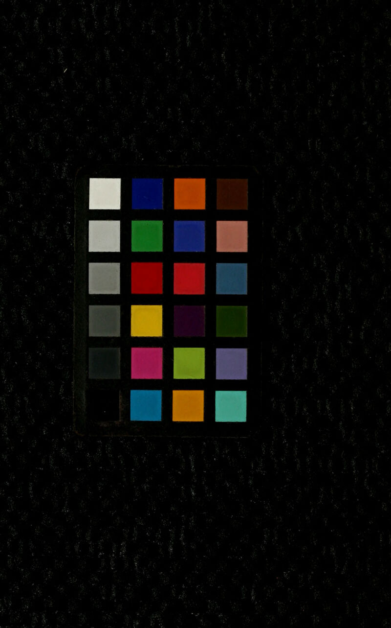 No text description is available for this image