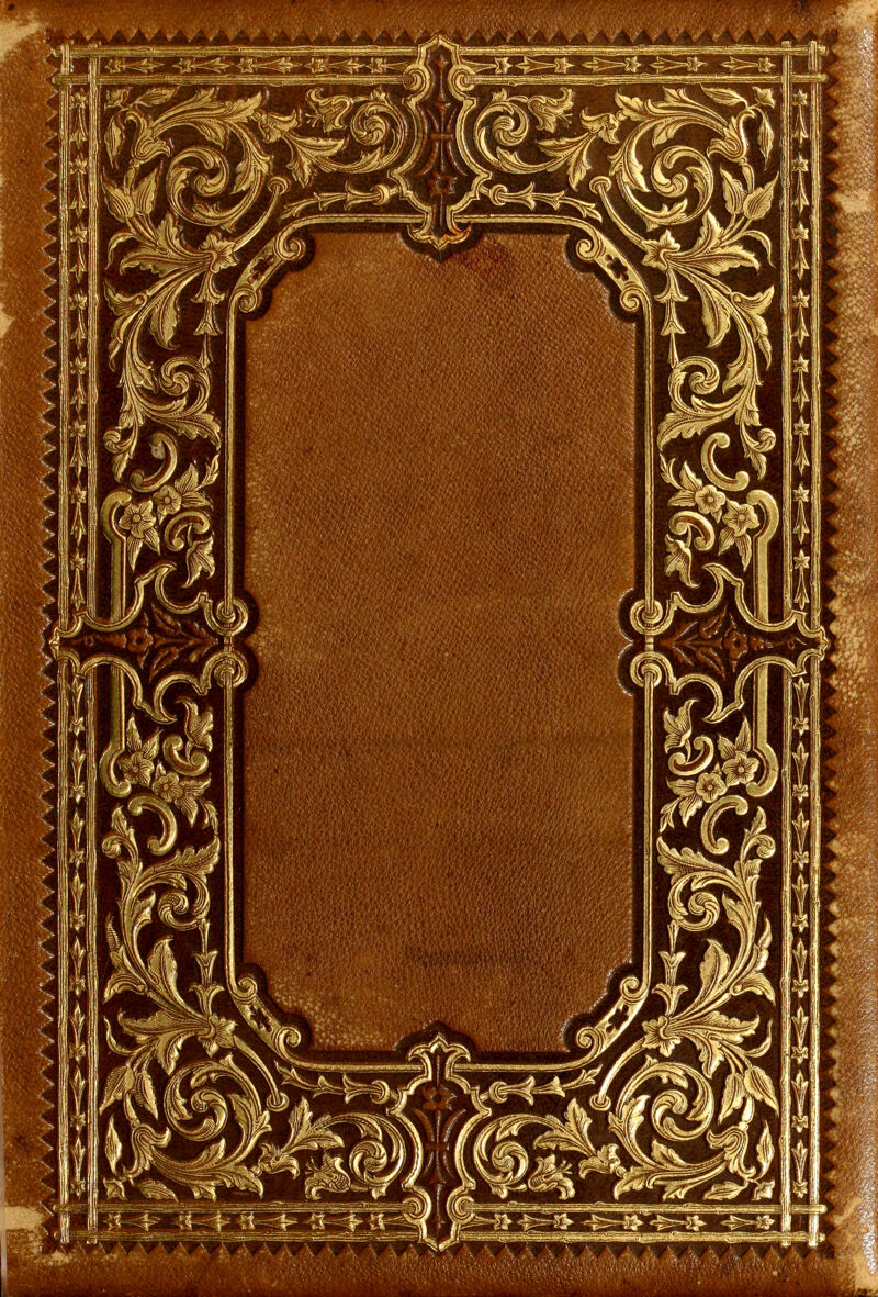 ^. «=<|^-^^-=1|^.CS^ -^'-^■53-