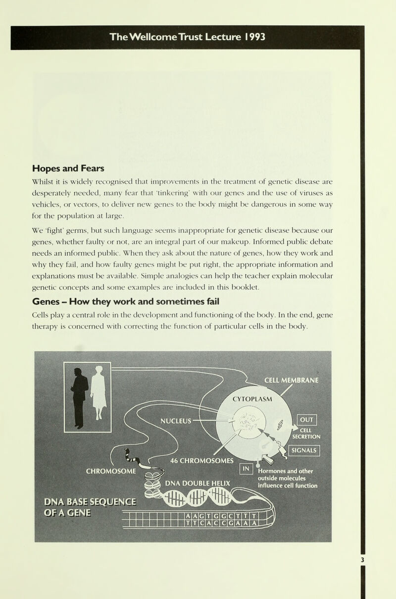 Hopes and Fears Whilst it is widely recognised that improvements in the treatment of genetic disease are desperately needed, many fear that 'tinkering' with our genes and the use of viruses as vehicles, or vectors, to deliver new genes to the body might be dangerous in some way for the population at large. We 'fight' germs, but such language seems inappropriate for genetic disease because our genes, whether faulty or not, are an integral part of our makeup. Informed public debate needs an informed public. When they ask about the nature of genes, how they work and why they fail, and how faulty genes might be put right, the appropriate information and explanations must be available. Simple analogies can help the teacher explain molecular genetic concepts and some examples are included in this booklet. Genes - How they work and sometimes fail Cells play a central role in the development and functioning of the body. In the end, gene therapy is concerned with correcting the function of particular cells in the body. OSOME 46 CHROMOSOMES ; 1 *^ | Hormones and other outside molecules DNA DOUBLE HELIX influence cell function DNA BASE SEQUENCE OF A GENE ■□□aOEEHOaiMtf BHOBDHHHBPElBBd