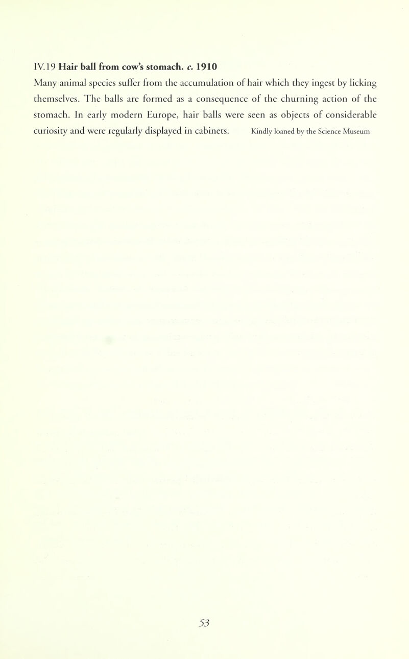 IV. 19 Hair ball from cow's stomach, c. 1910 Many animal species suffer from the accumulation of hair which they ingest by licking themselves. The balls are formed as a consequence of the churning action of the stomach. In early modern Europe, hair balls were seen as objects of considerable curiosity and were regularly displayed in cabinets. Kindly loaned by the Science Museum